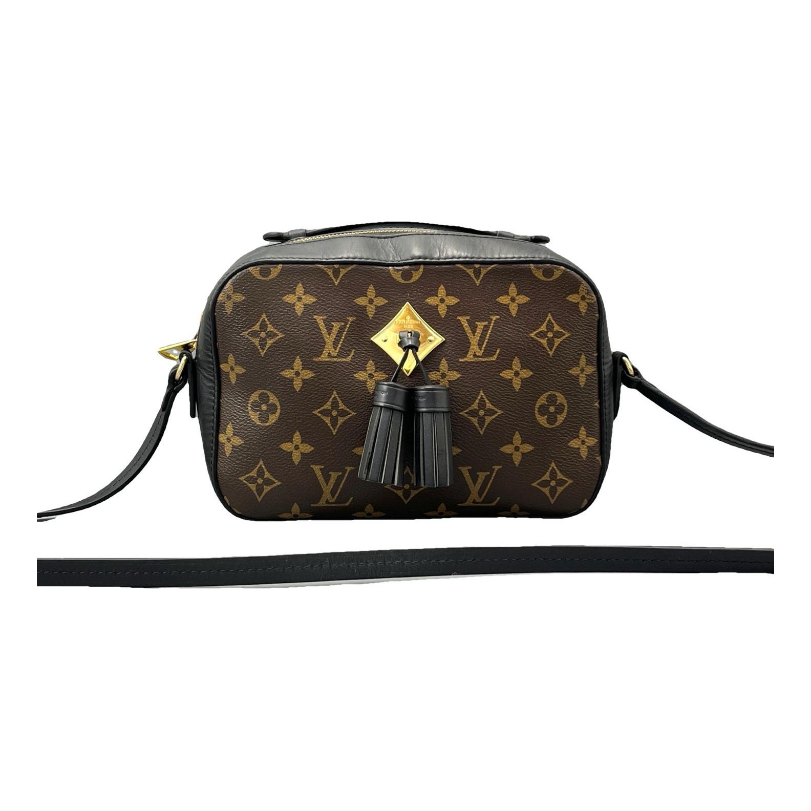 Saintonge leather crossbody bag