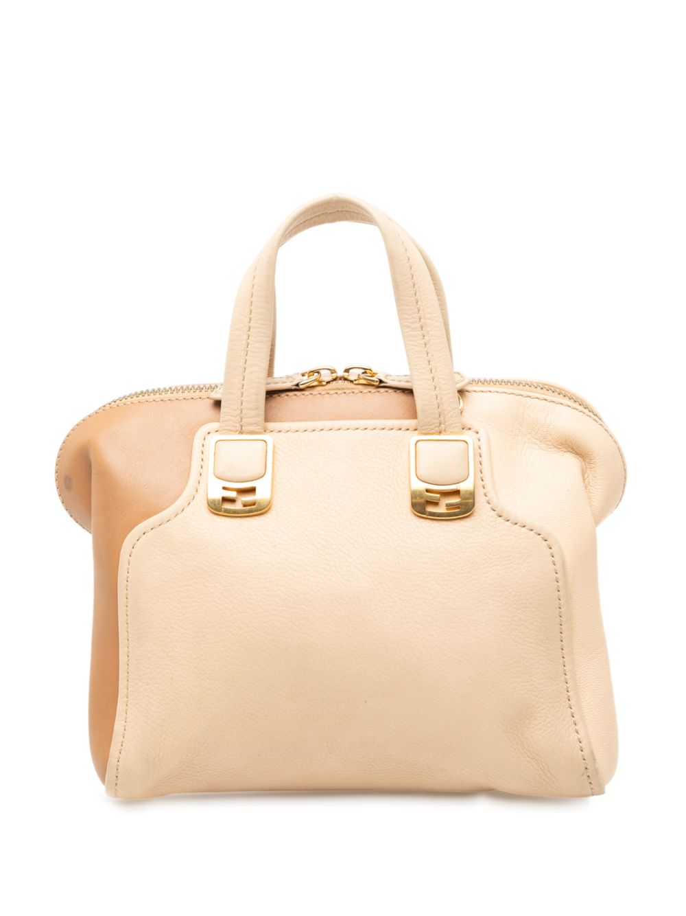 2010-2025 Small Tricolor Leather Chameleon satchel