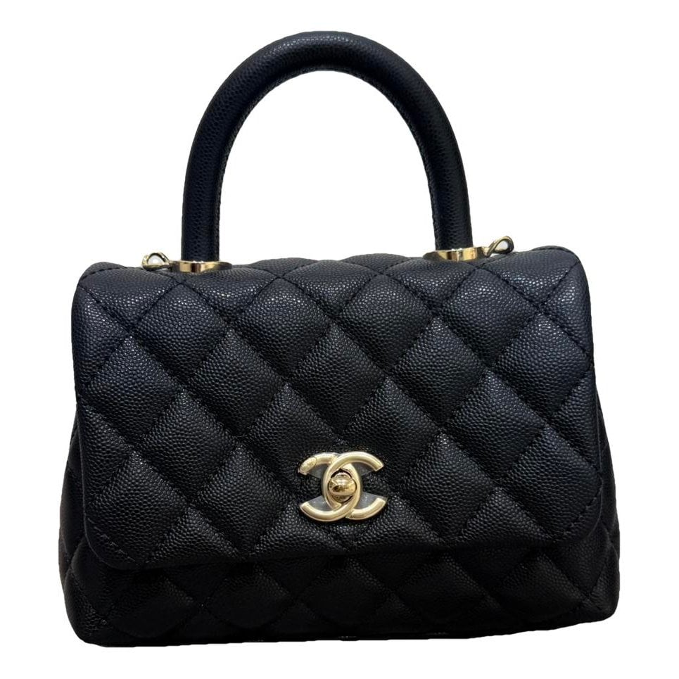 Coco Handle leather handbag