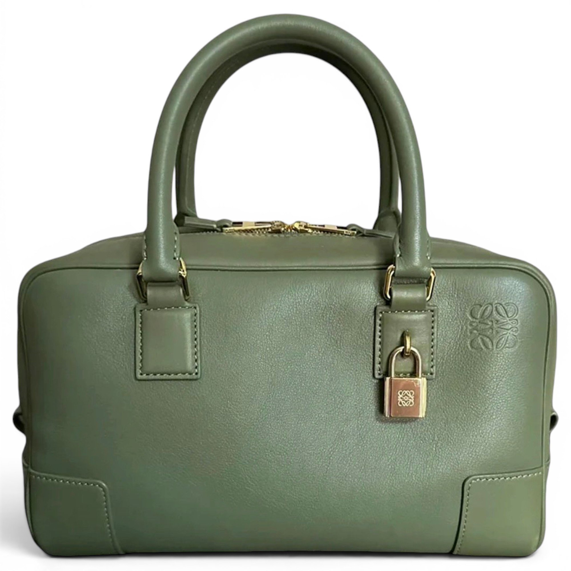 Amazona leather handbag