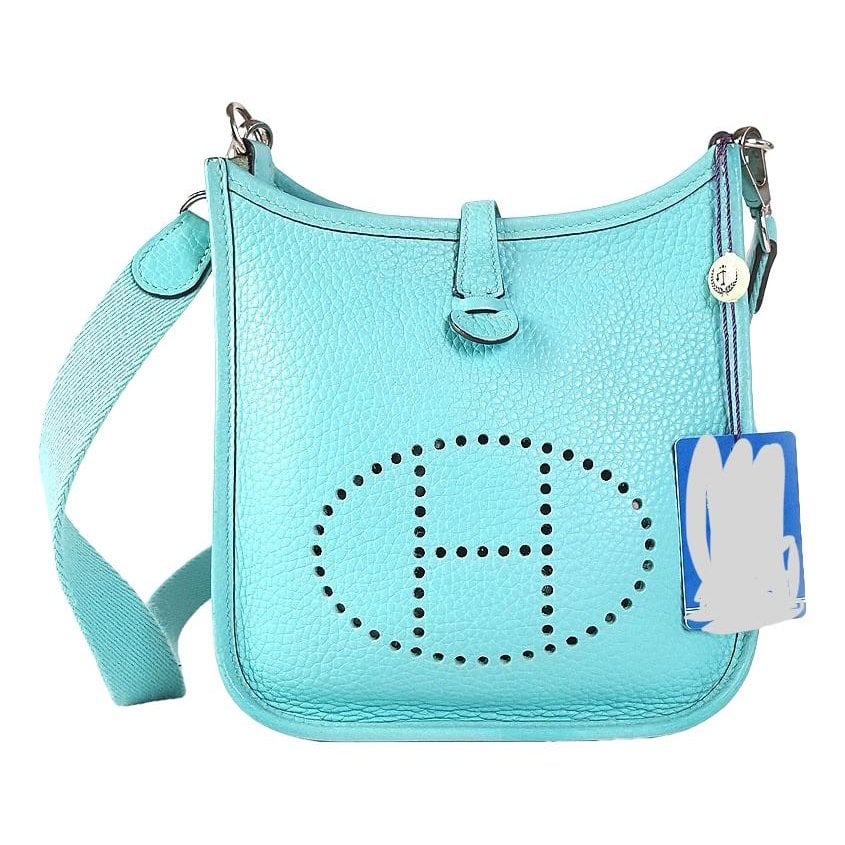 Mini Evelyne leather handbag