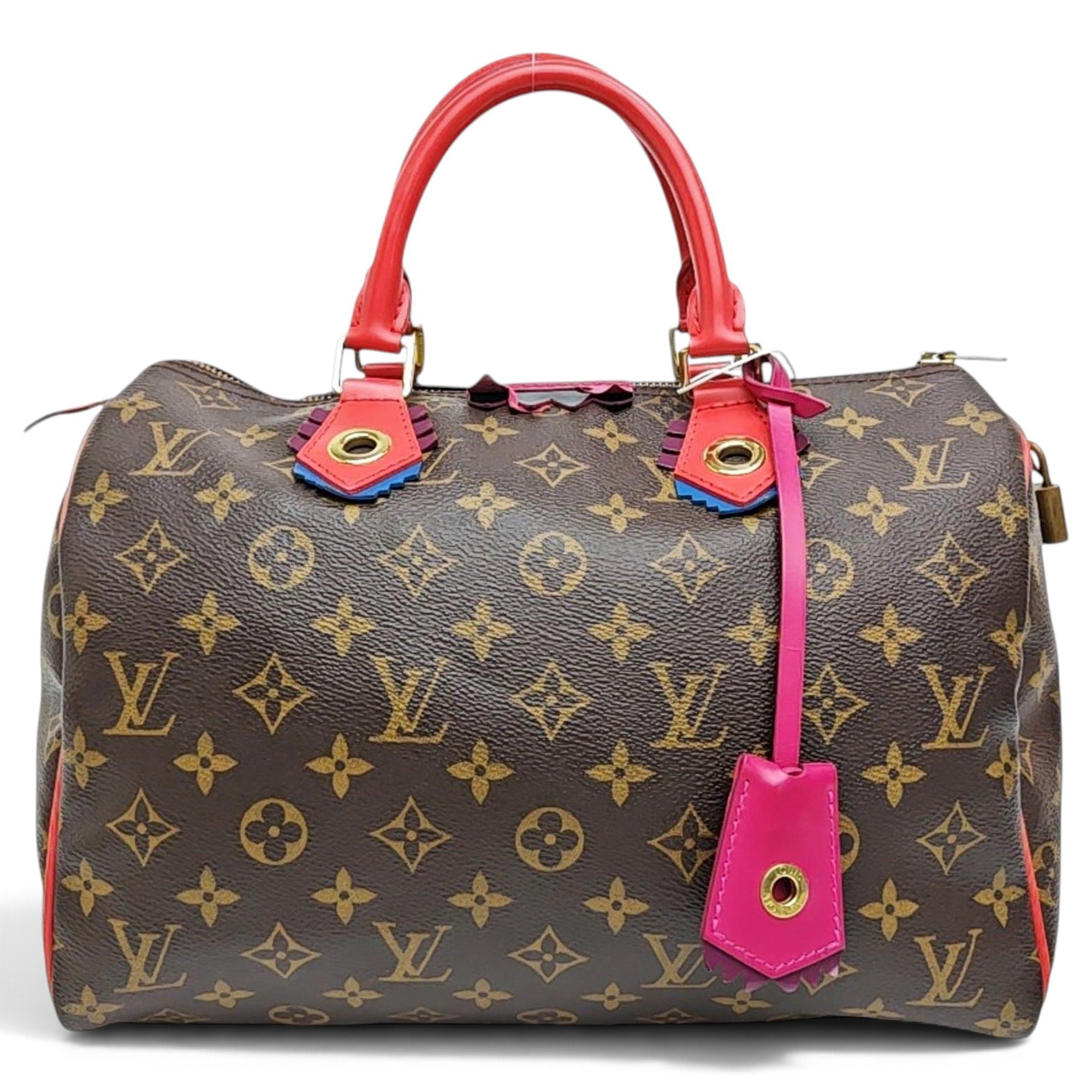 Louis Vuitton Speedy cloth handbag