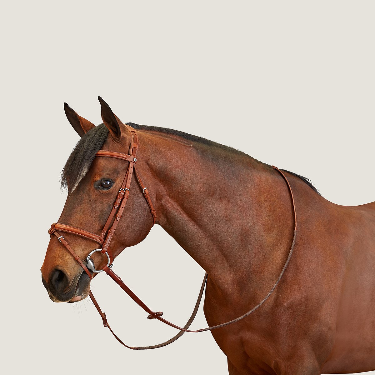 Ergonomic Hunter/Jumper bridle