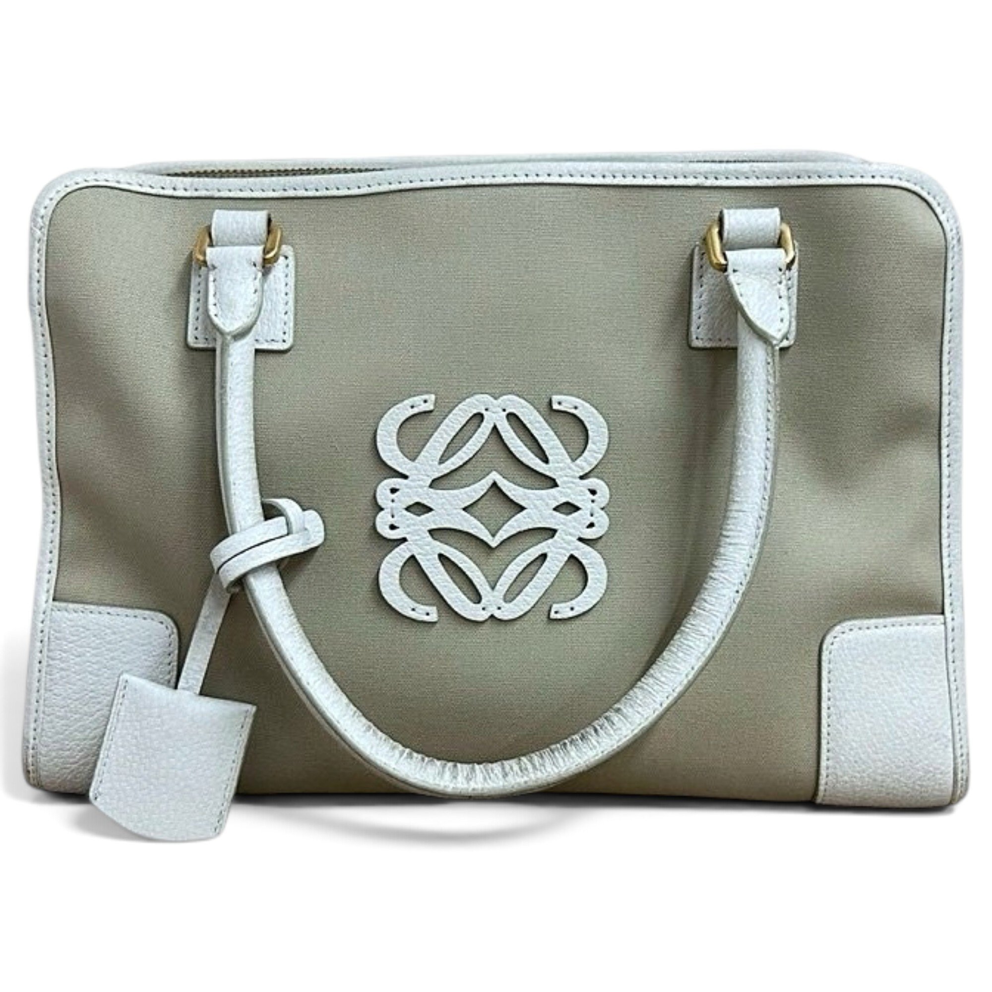 Amazona cloth handbag