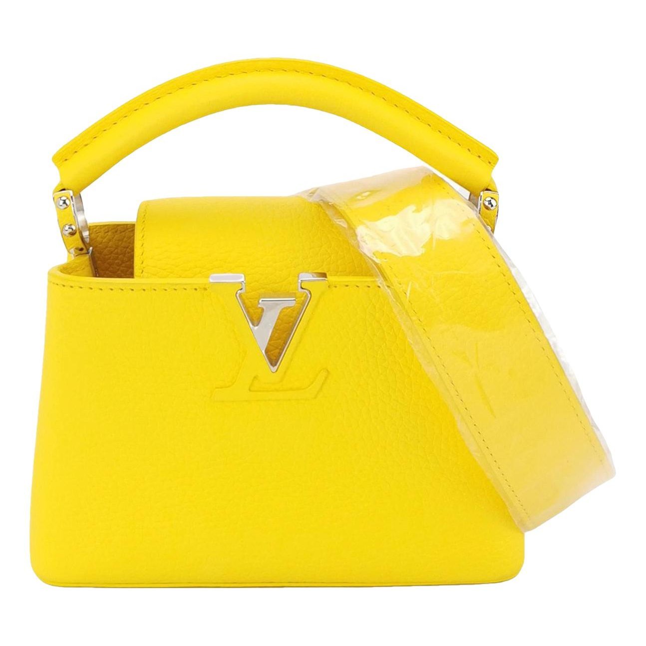 Capucines leather handbag