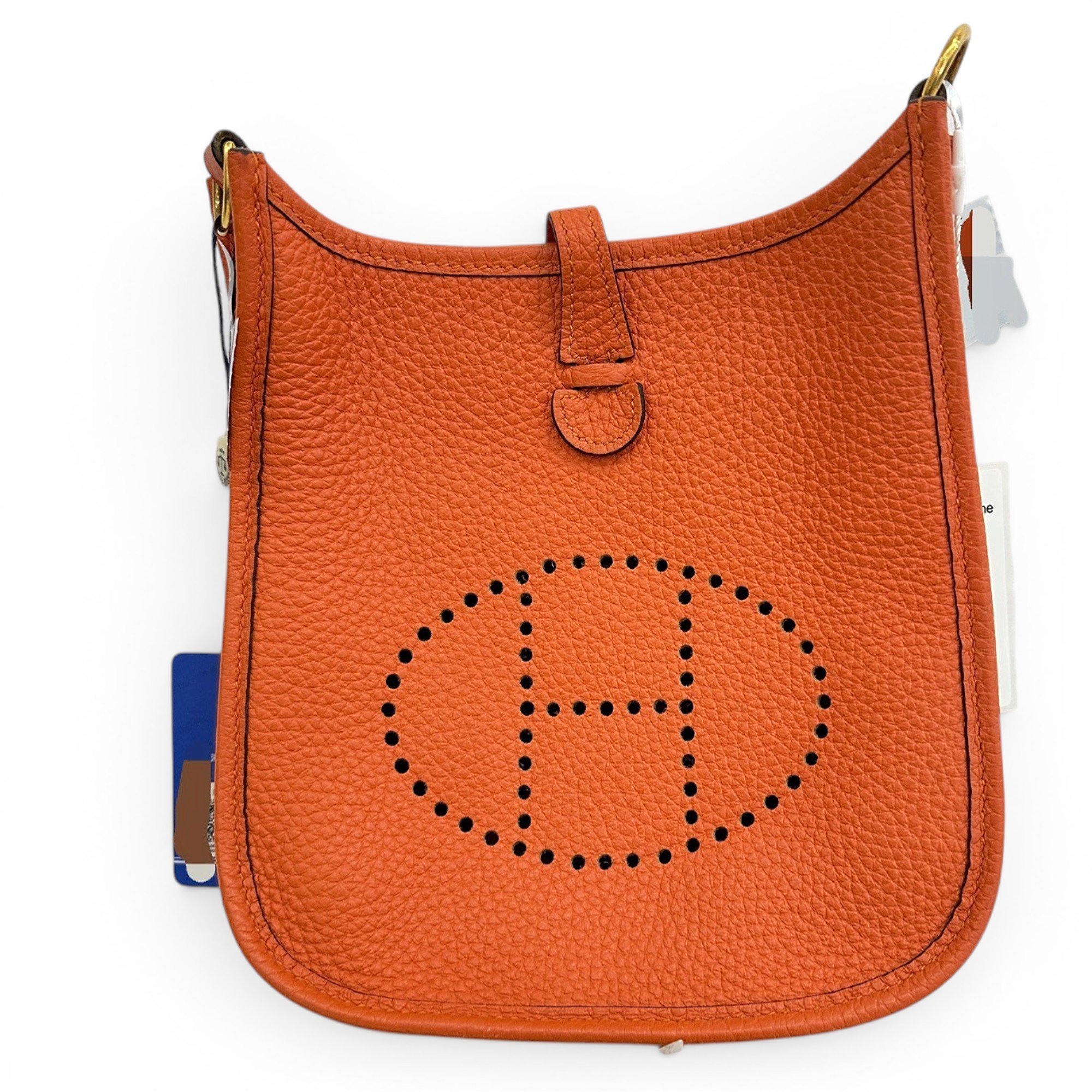 Mini Evelyne leather handbag