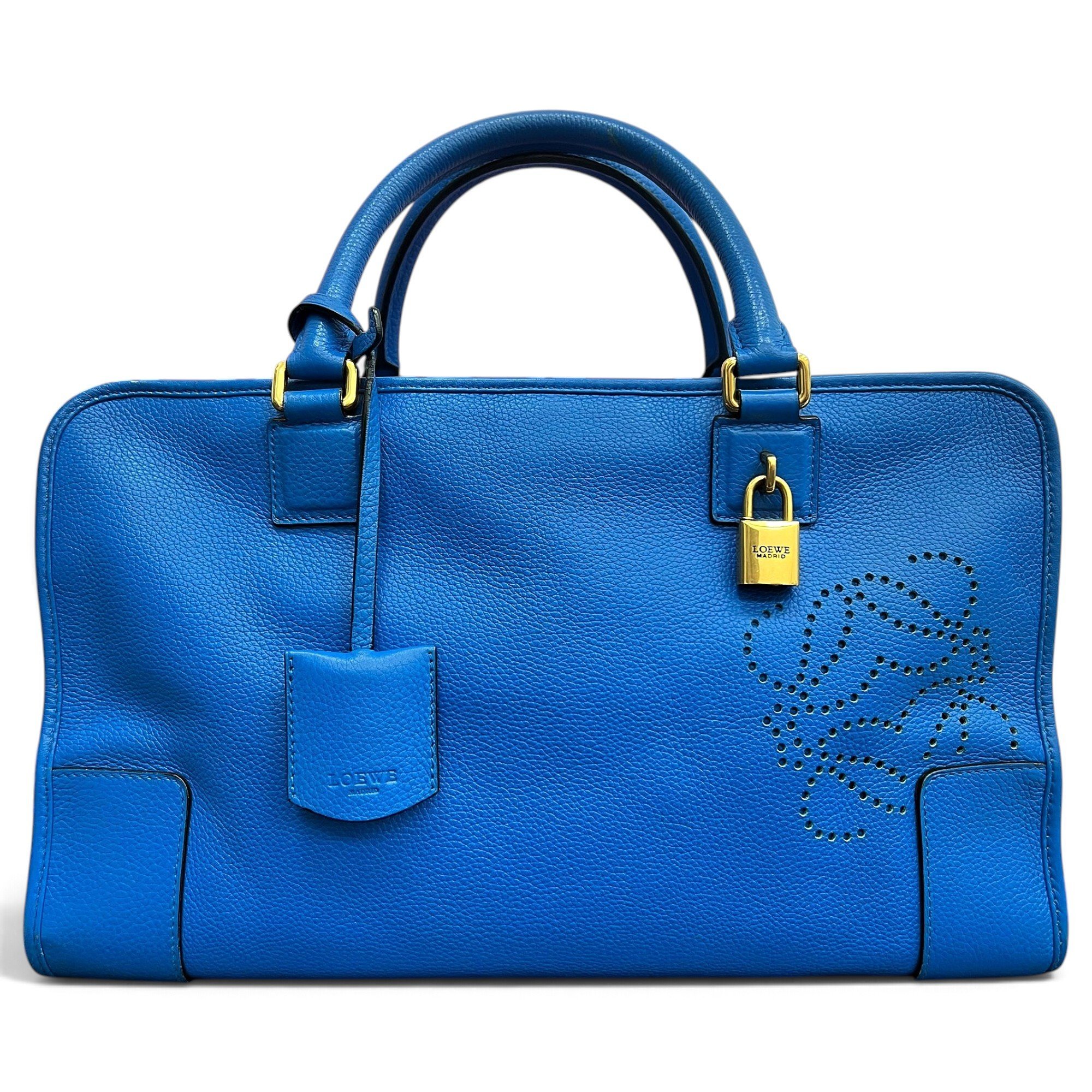 Amazona leather handbag