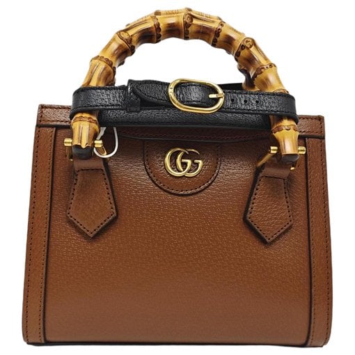 Diana leather mini bag