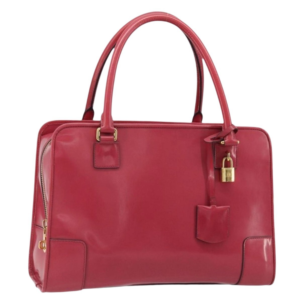 Amazona patent leather handbag