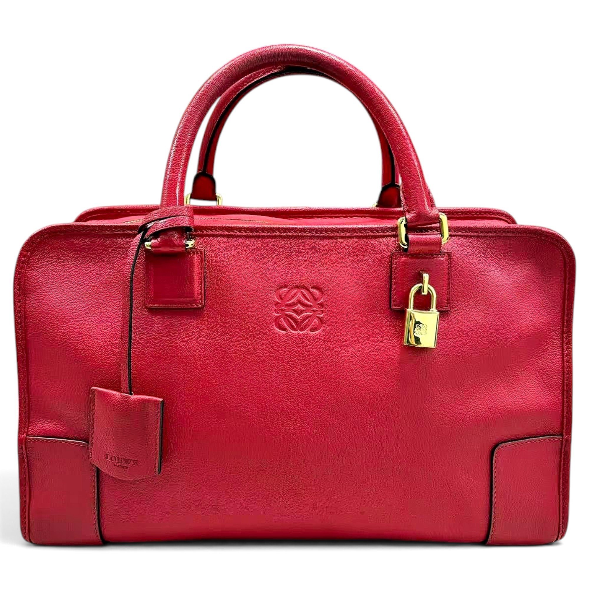 Amazona leather handbag