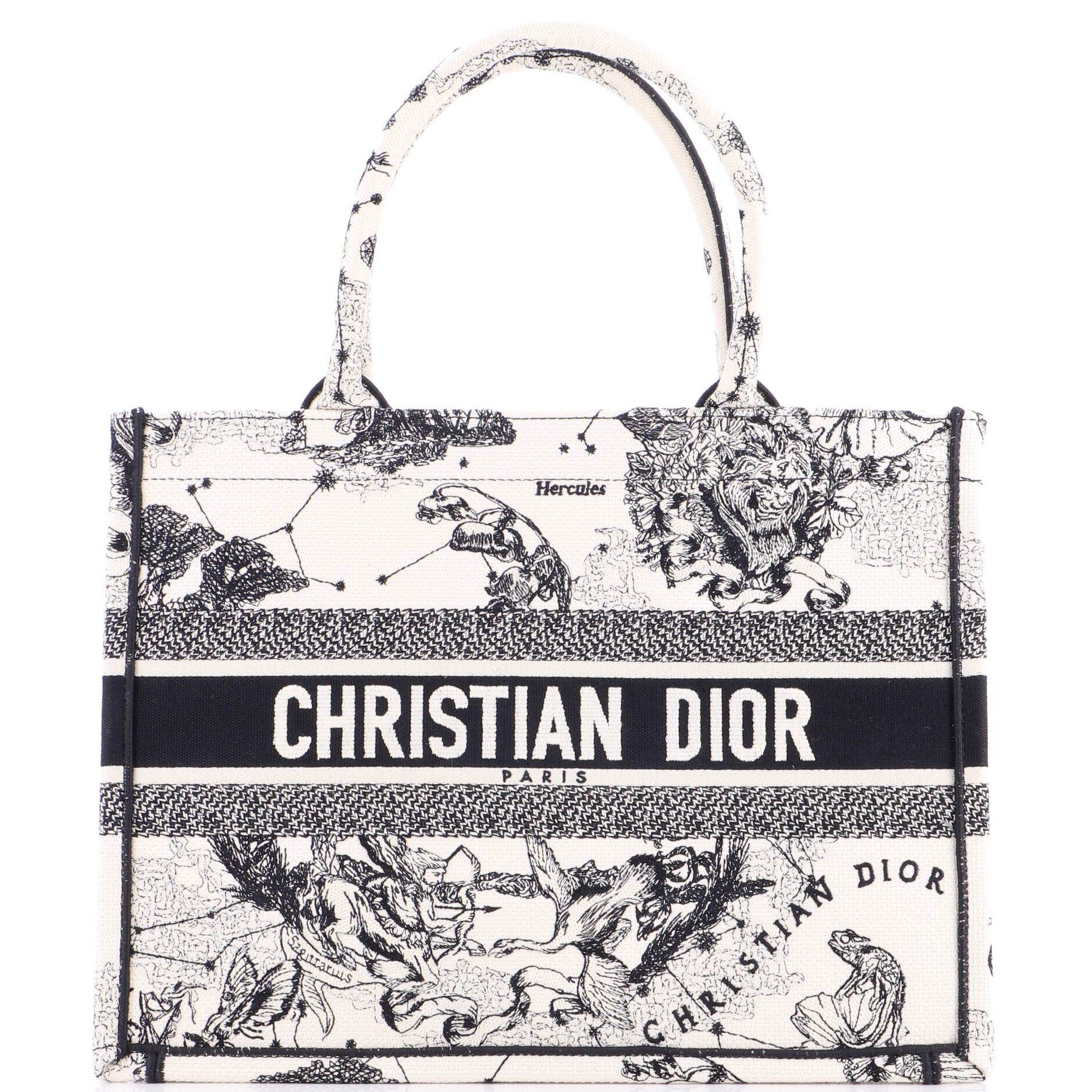 Dior Book Tote Embroidered Canvas Medium