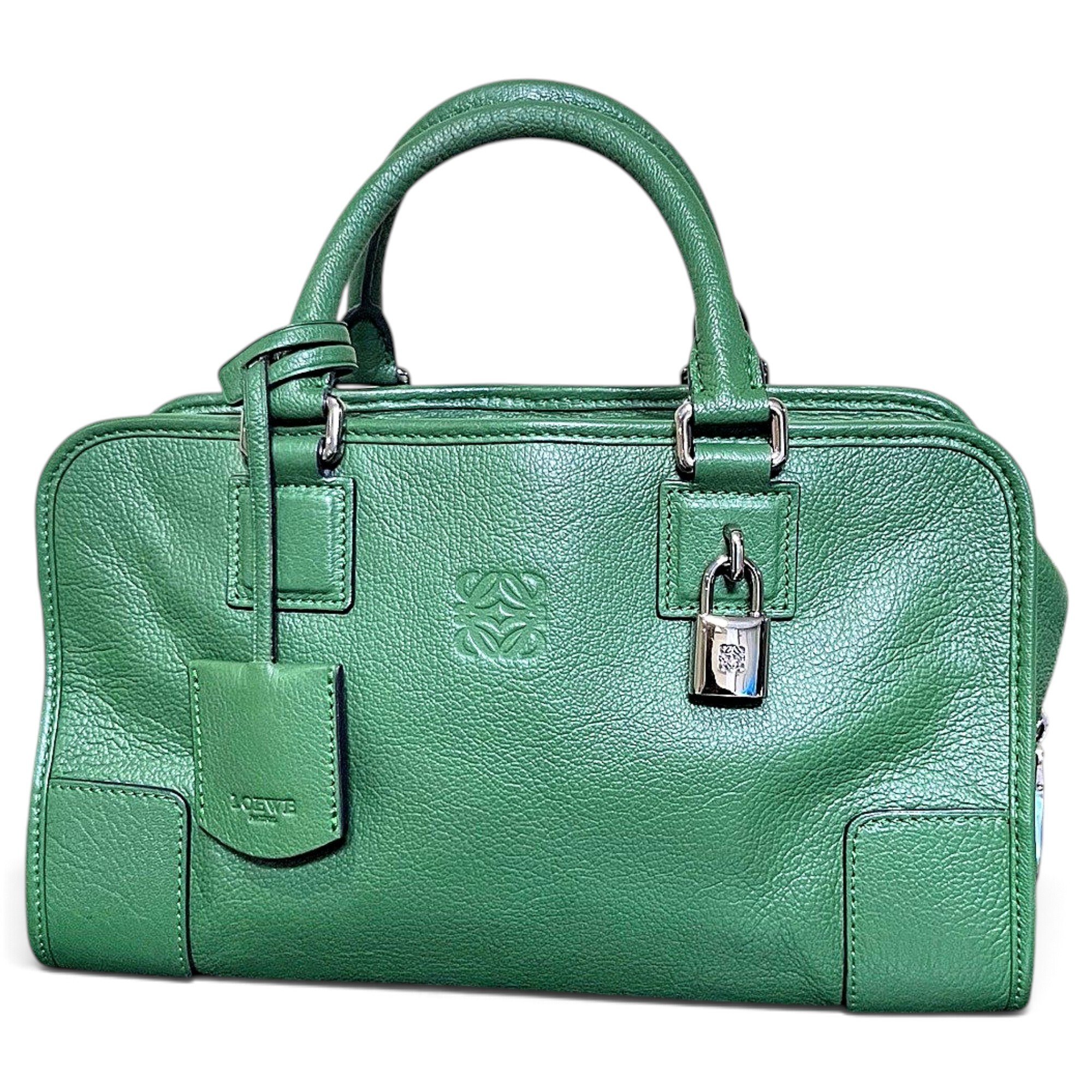Amazona leather handbag