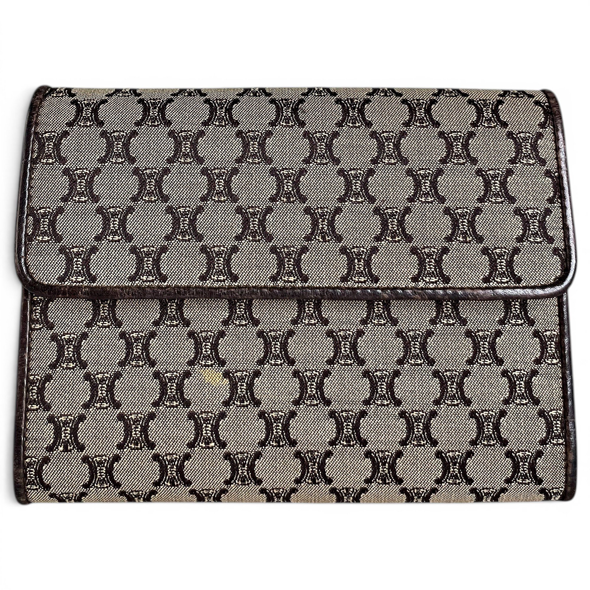 Triomphe cloth mini bag