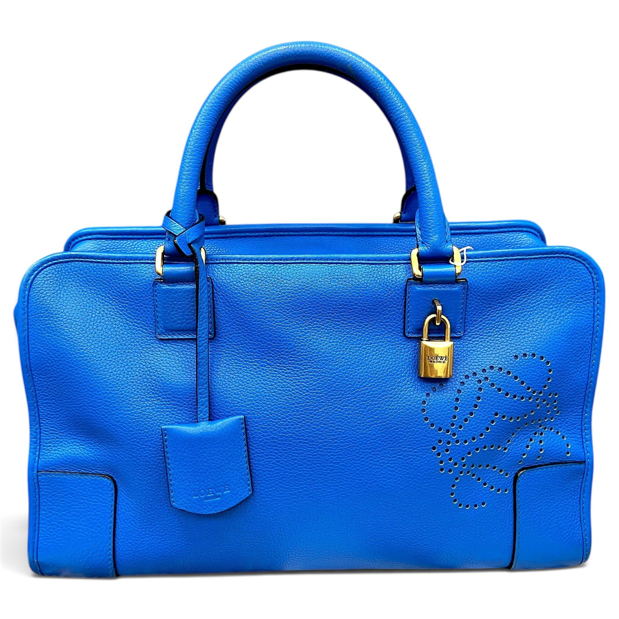 Amazona leather handbag