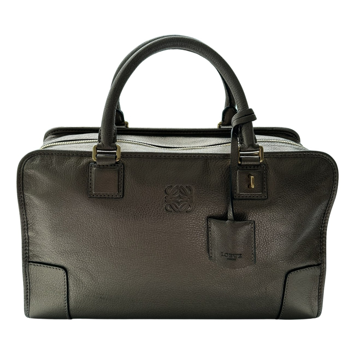 Amazona leather handbag