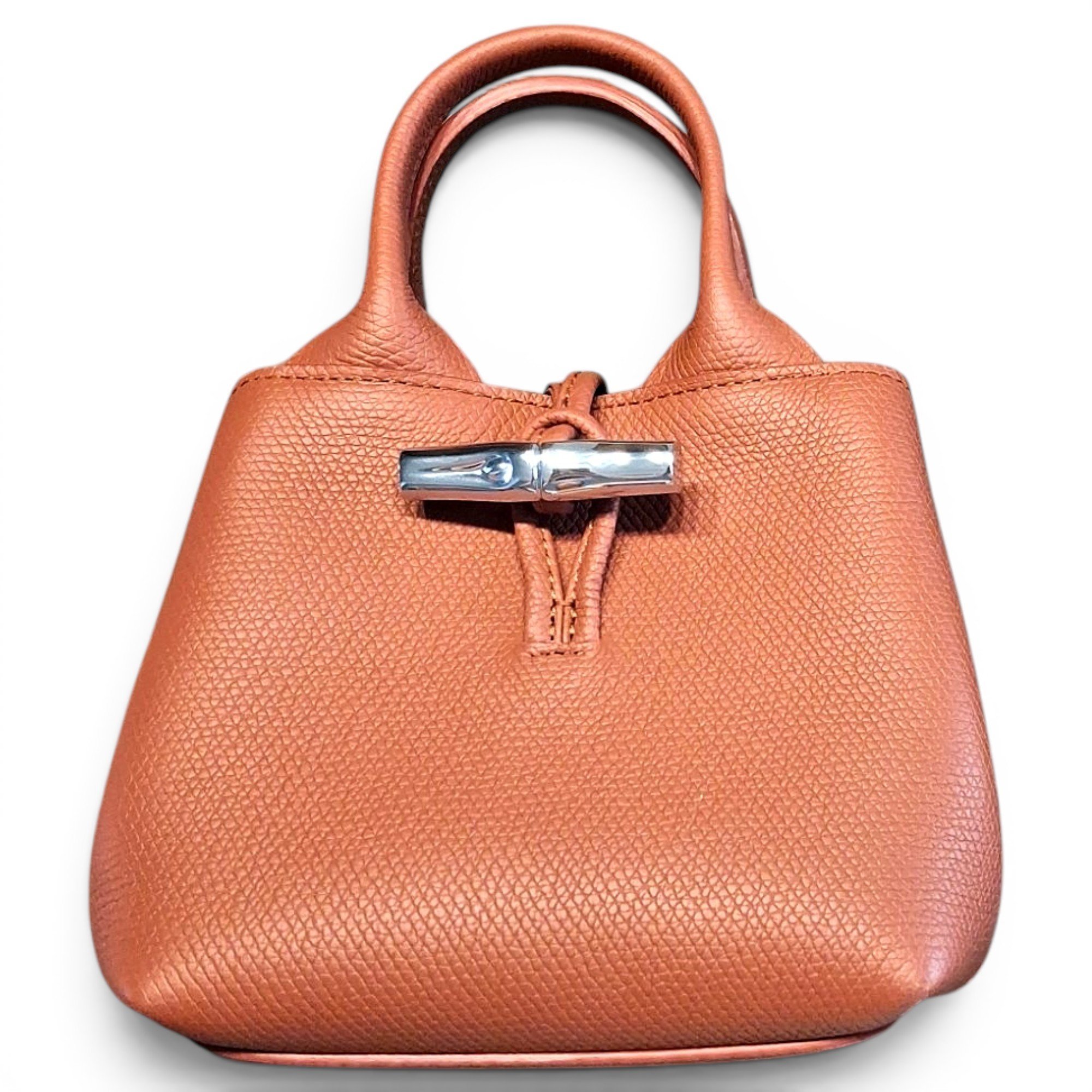 Roseau leather mini bag