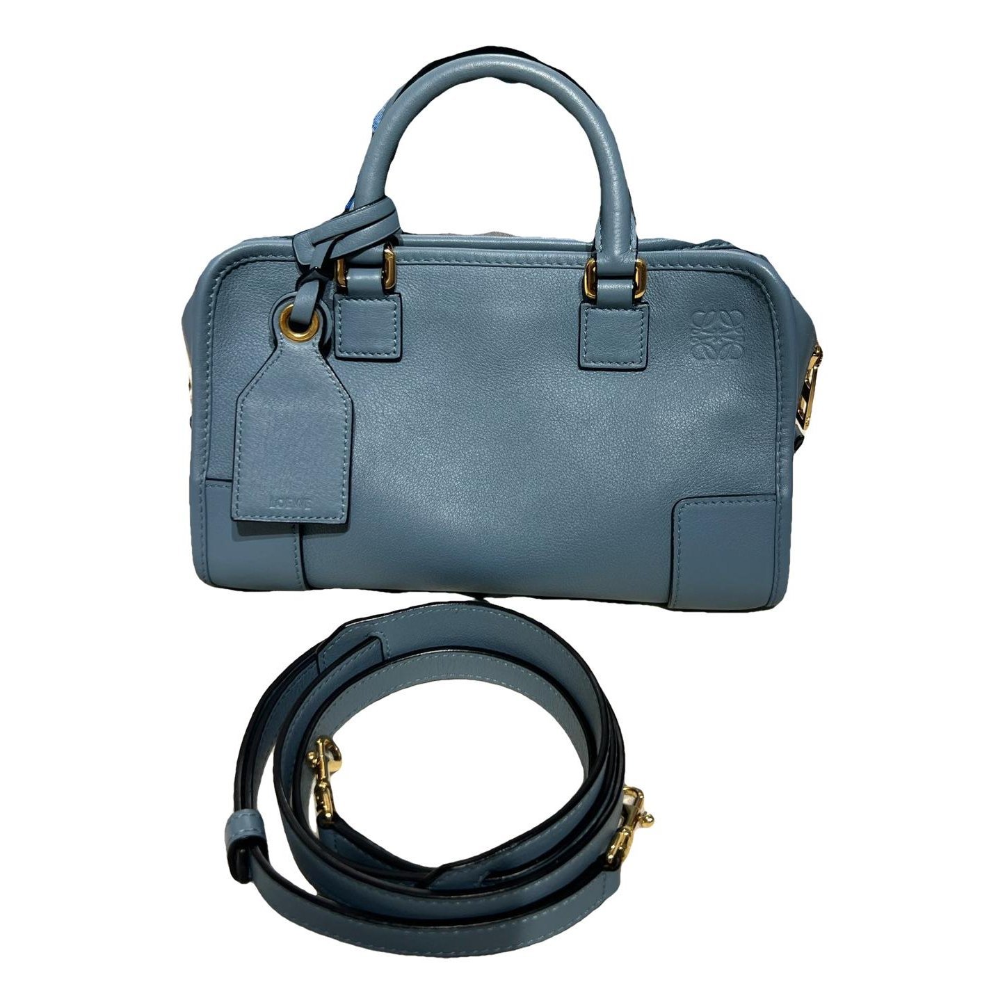 Amazona leather handbag