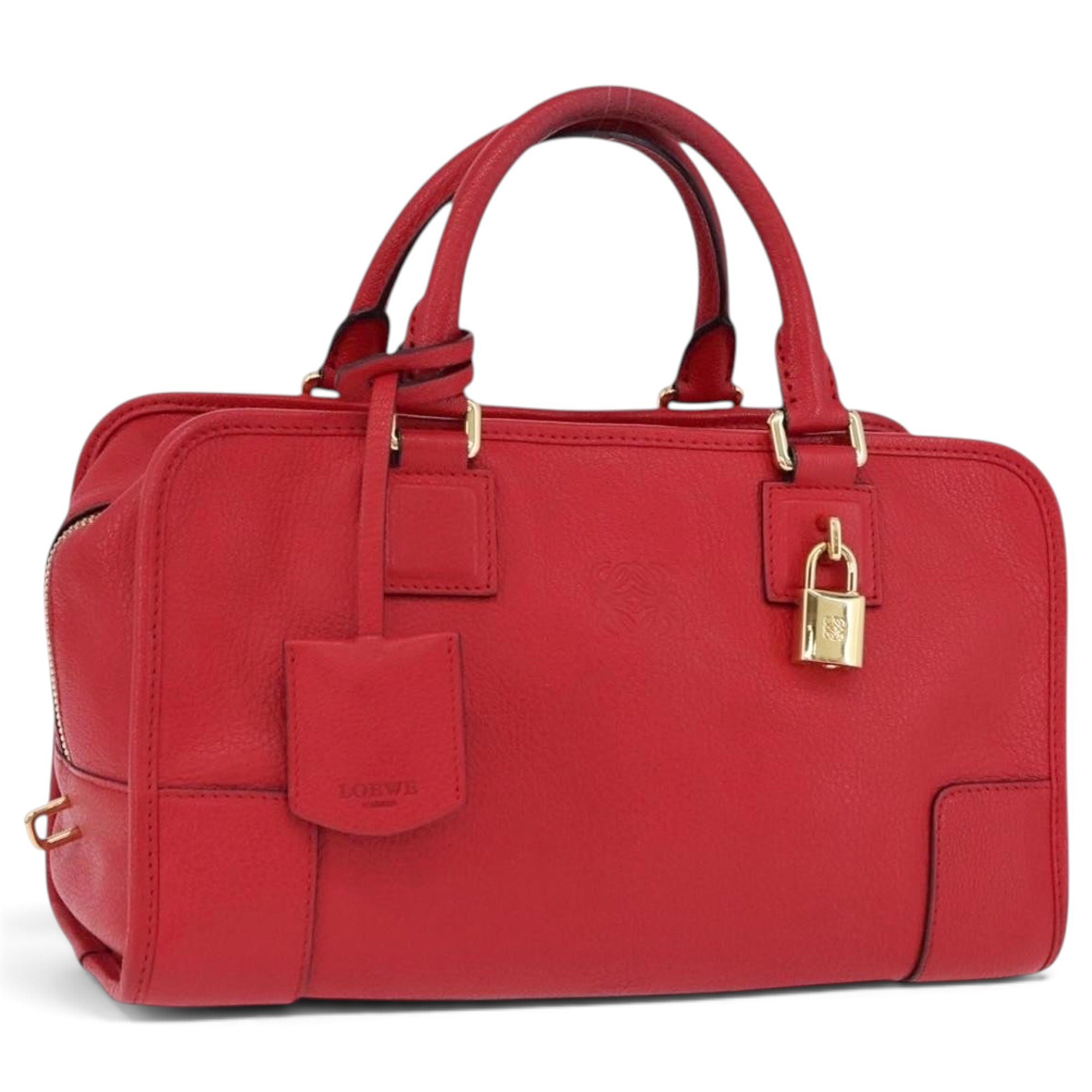 Amazona leather handbag