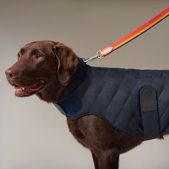 Navy Dog Coat, M and L