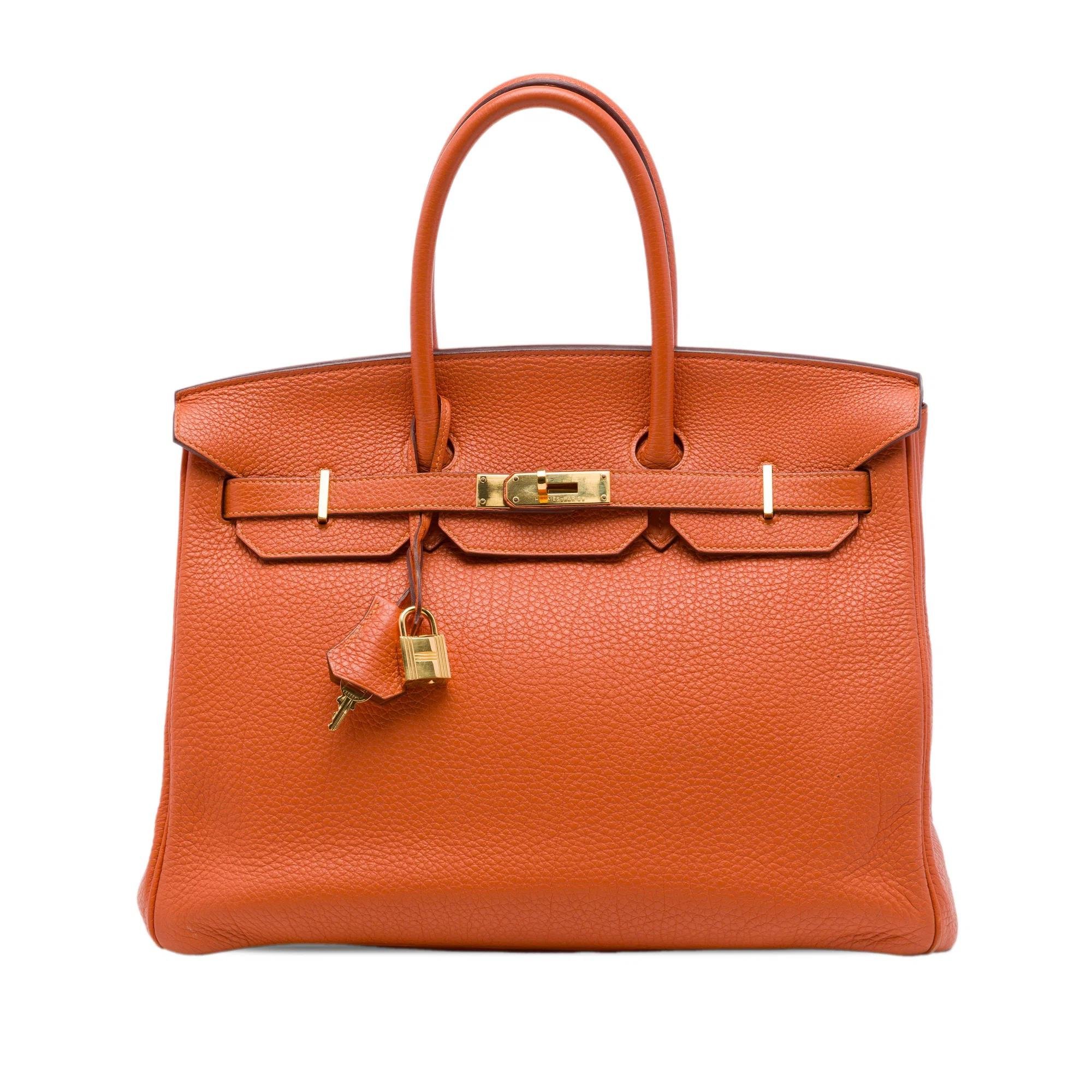 Hermes Birkin 35 Handbag Togo Leather 2022