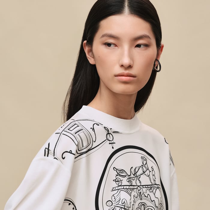 Blanc Nacre "Ex-libris a Main Levee" Long-sleeve Twillaine Sweater