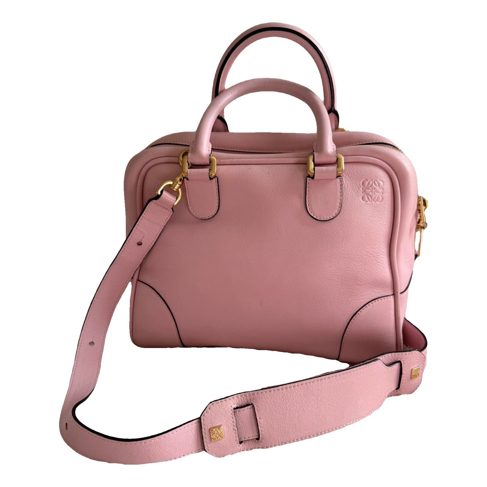 Amazona leather handbag
