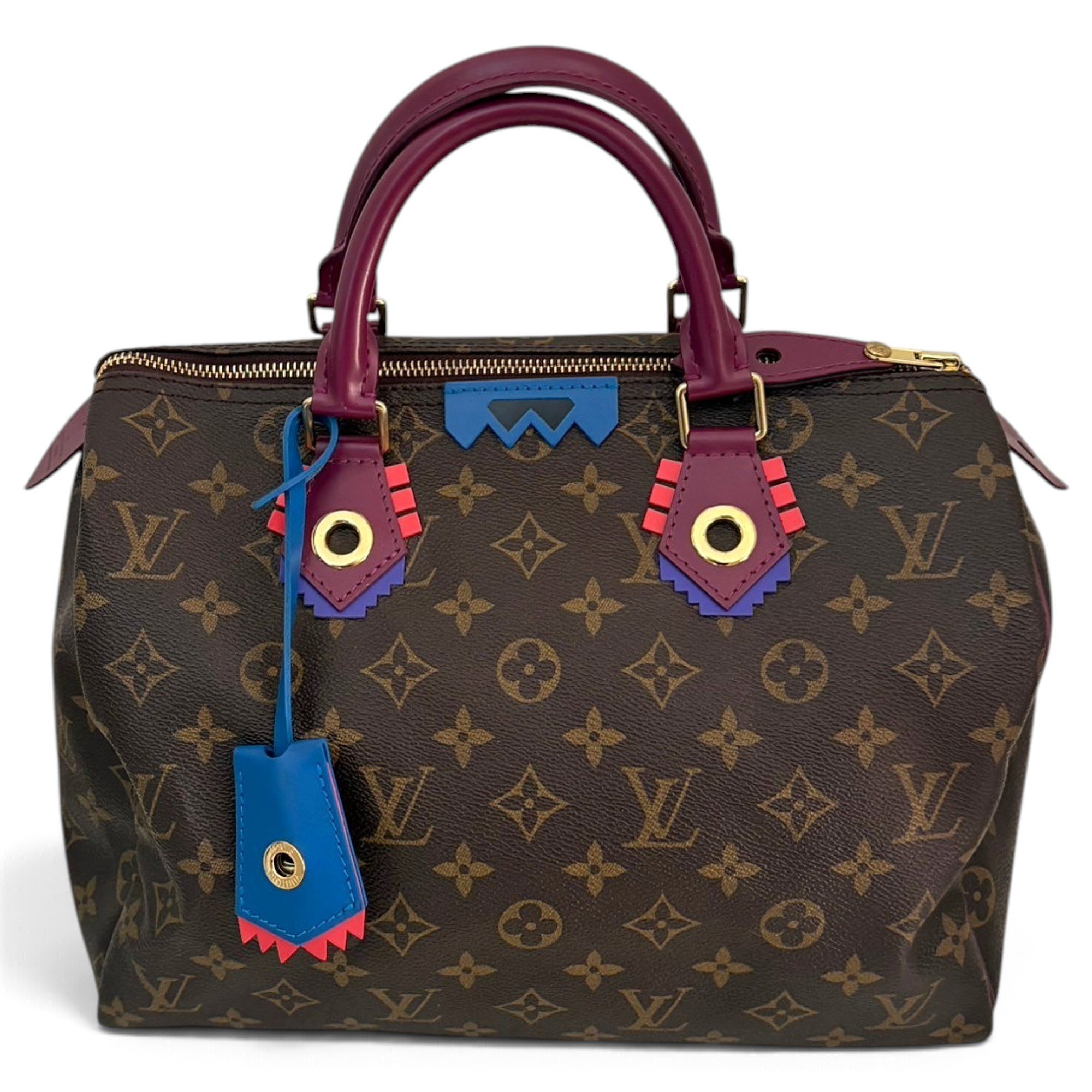 Louis Vuitton Speedy cloth handbag