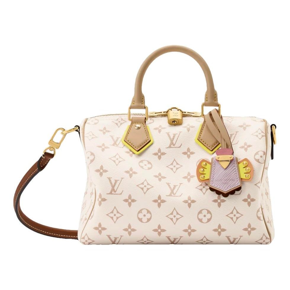 Louis Vuitton Speedy Bandoulière leather handbag