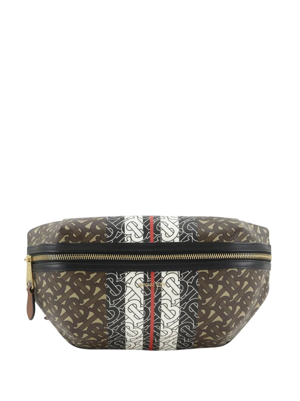 2018-2026 Monogram Stripe E-Canvas belt bag
