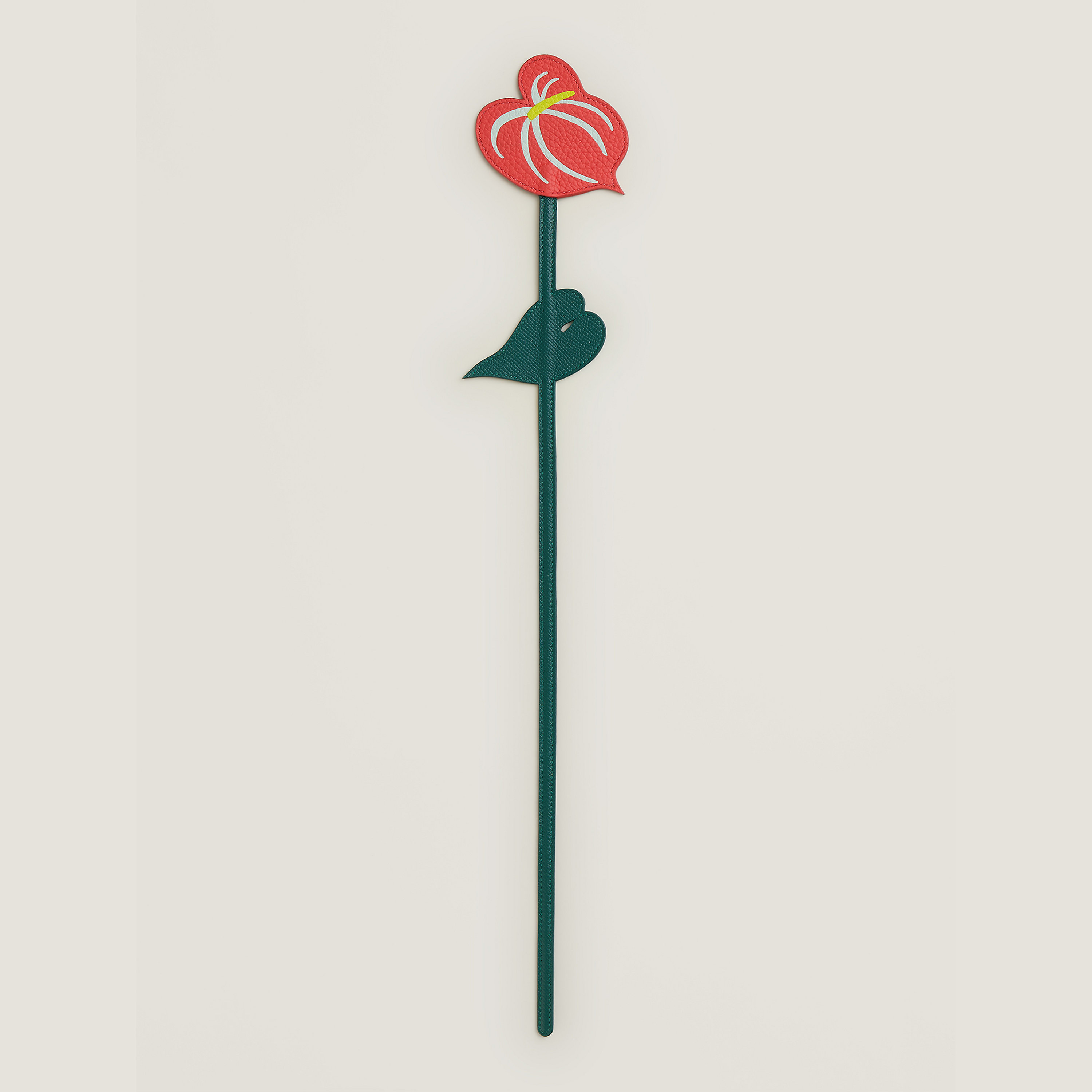Leather anthurium flower