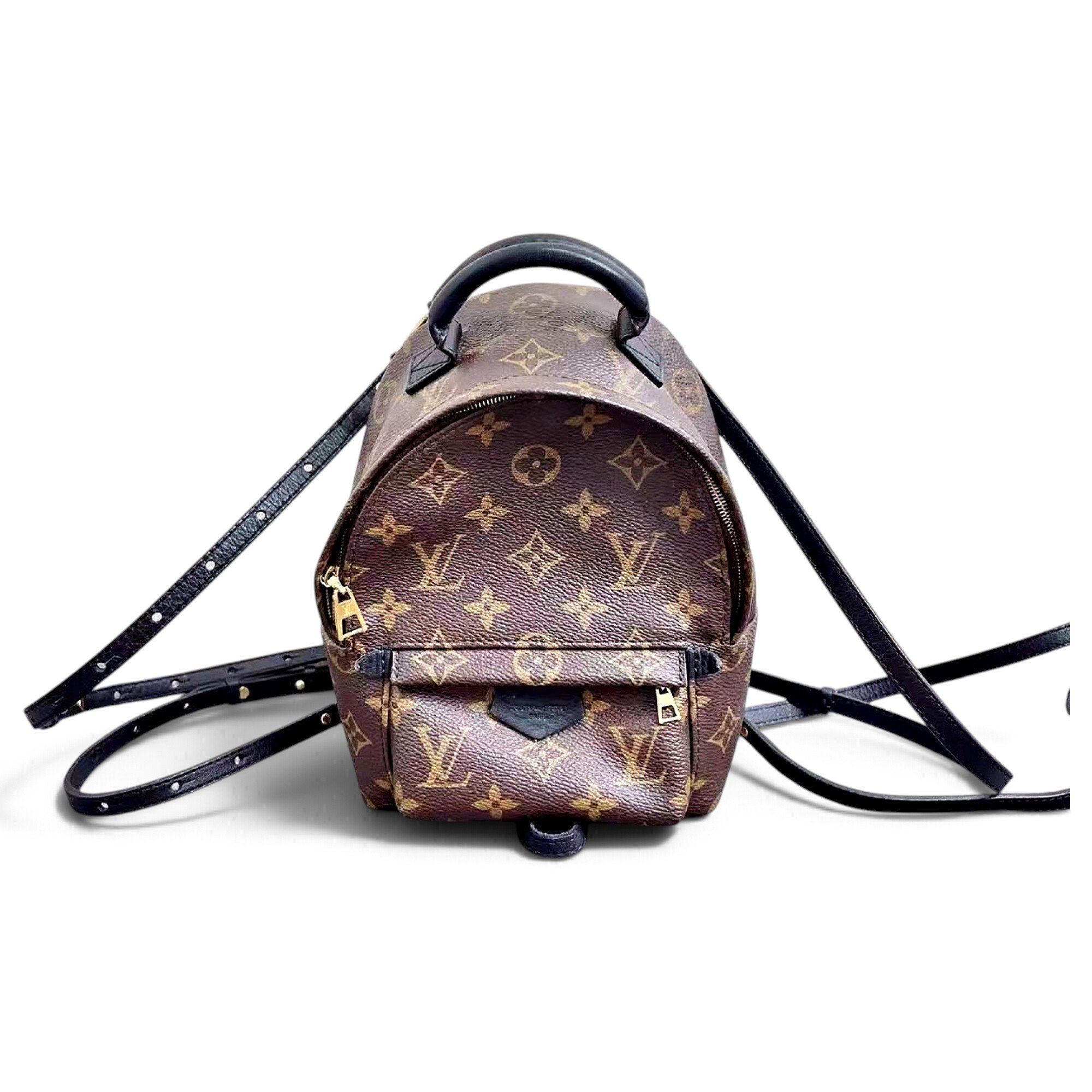 Palm Springs leather backpack