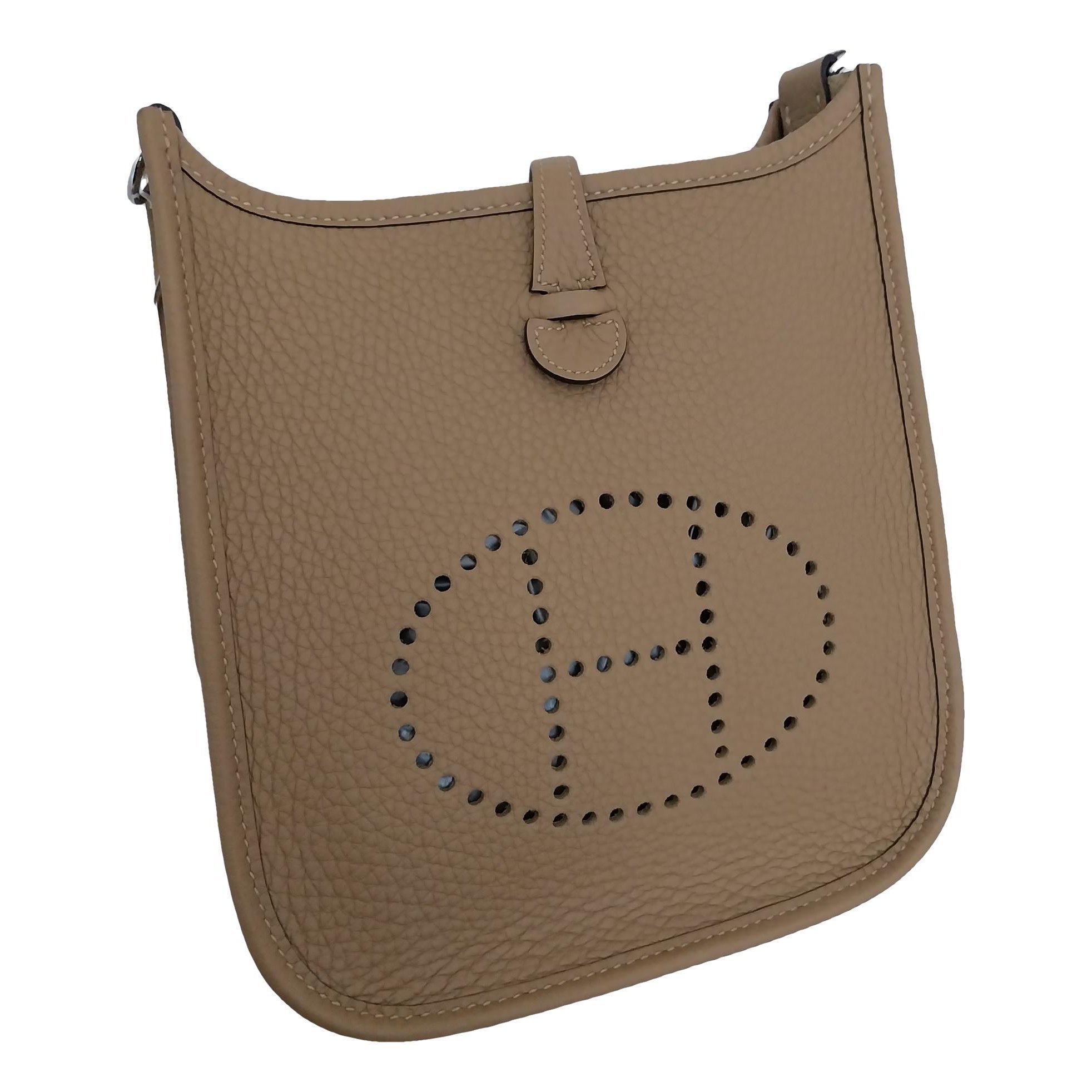 Mini Evelyne leather crossbody bag