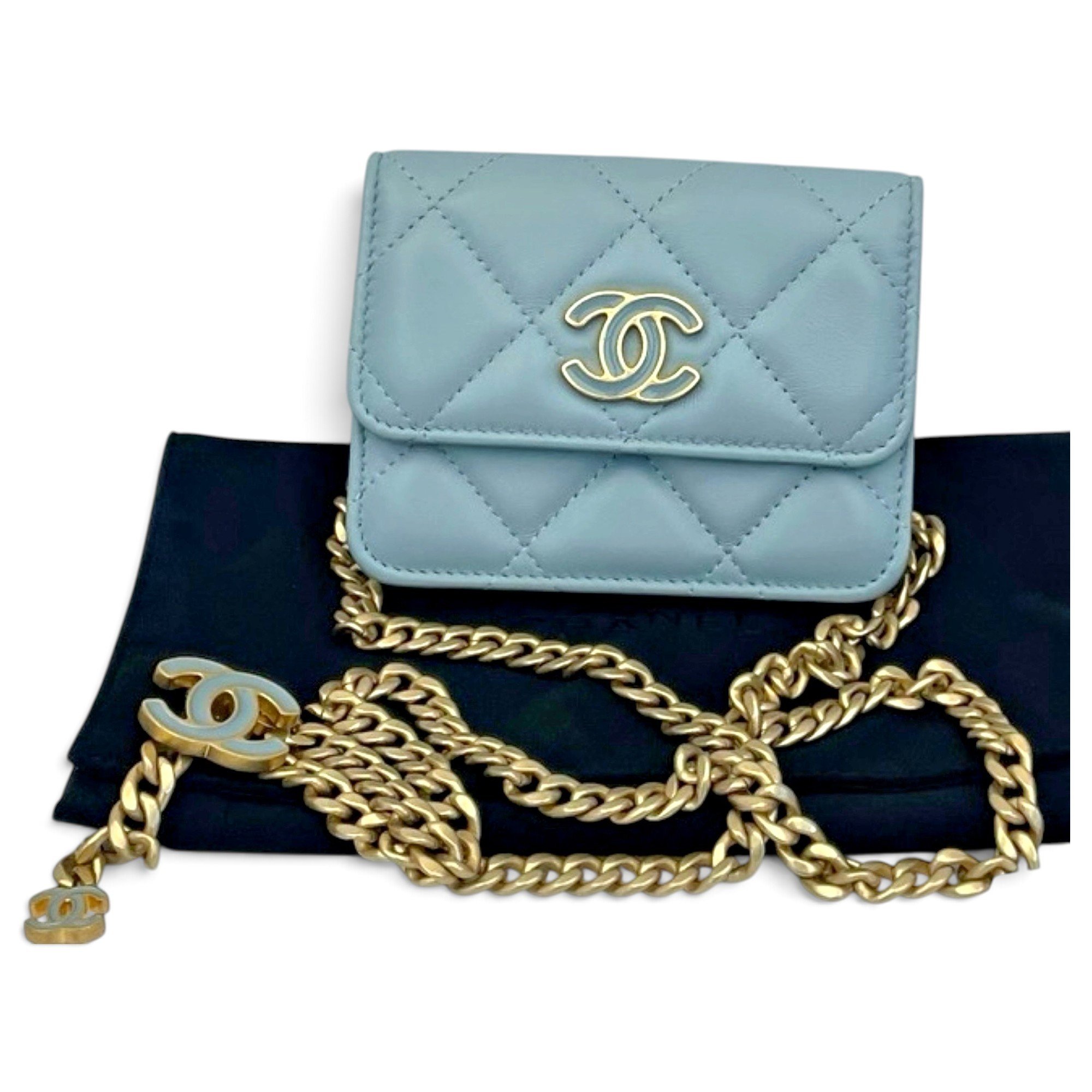 Wallet On Chain Double C leather crossbody bag