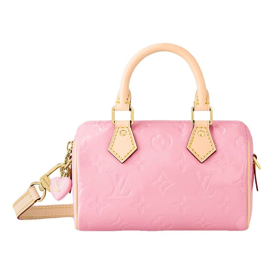 Louis Vuitton Nano Speedy / Mini HL leather handbag