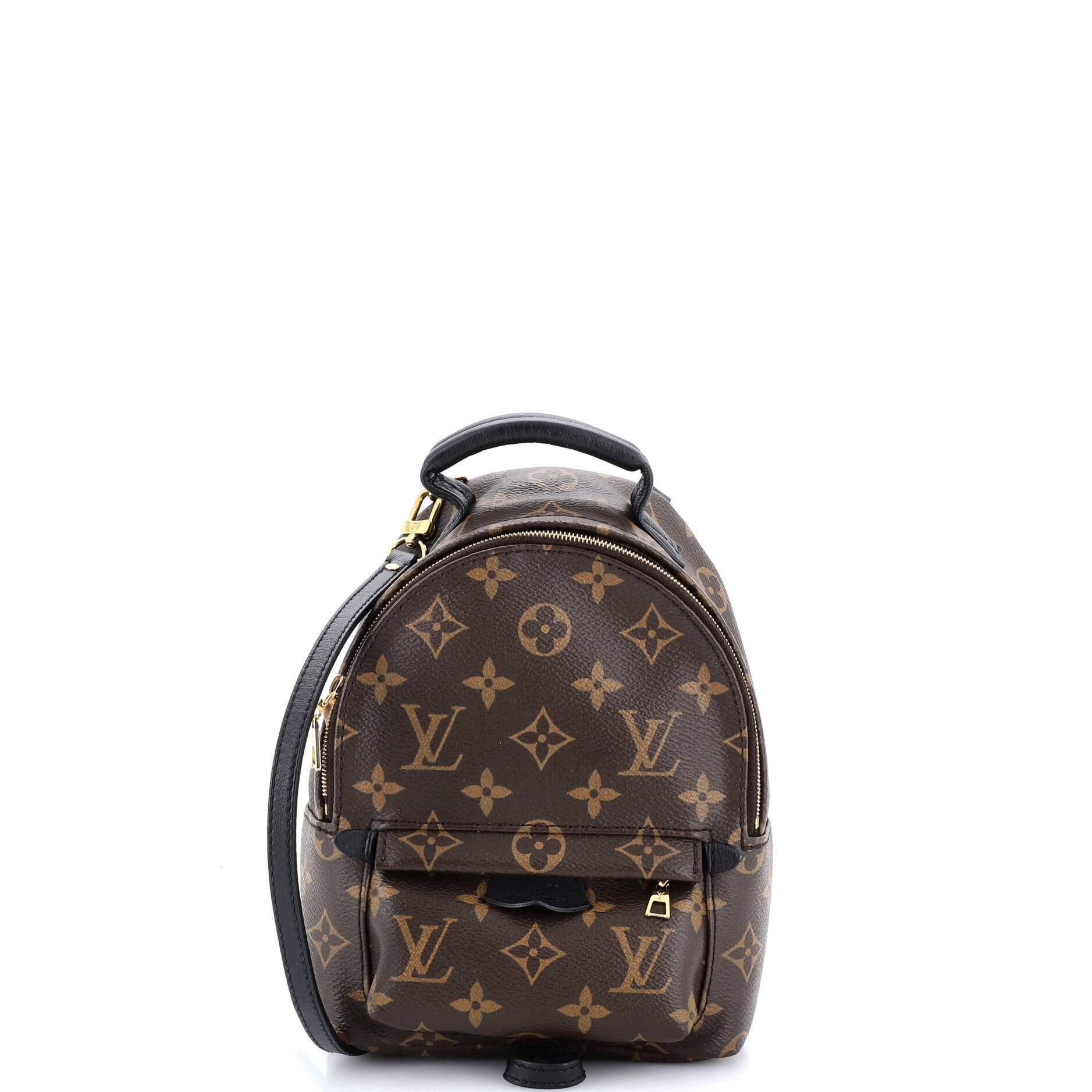 Louis Vuitton Palm Springs Backpack Monogram Canvas Mini