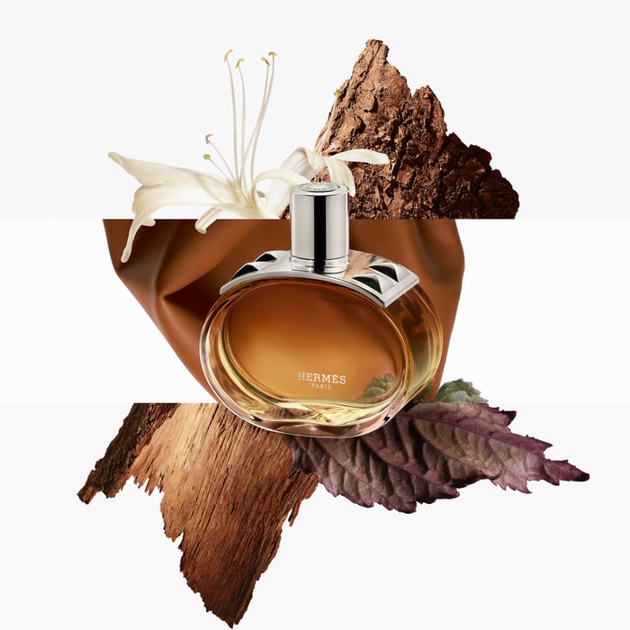 Sans Coloris Barénia Eau De Parfum Intense