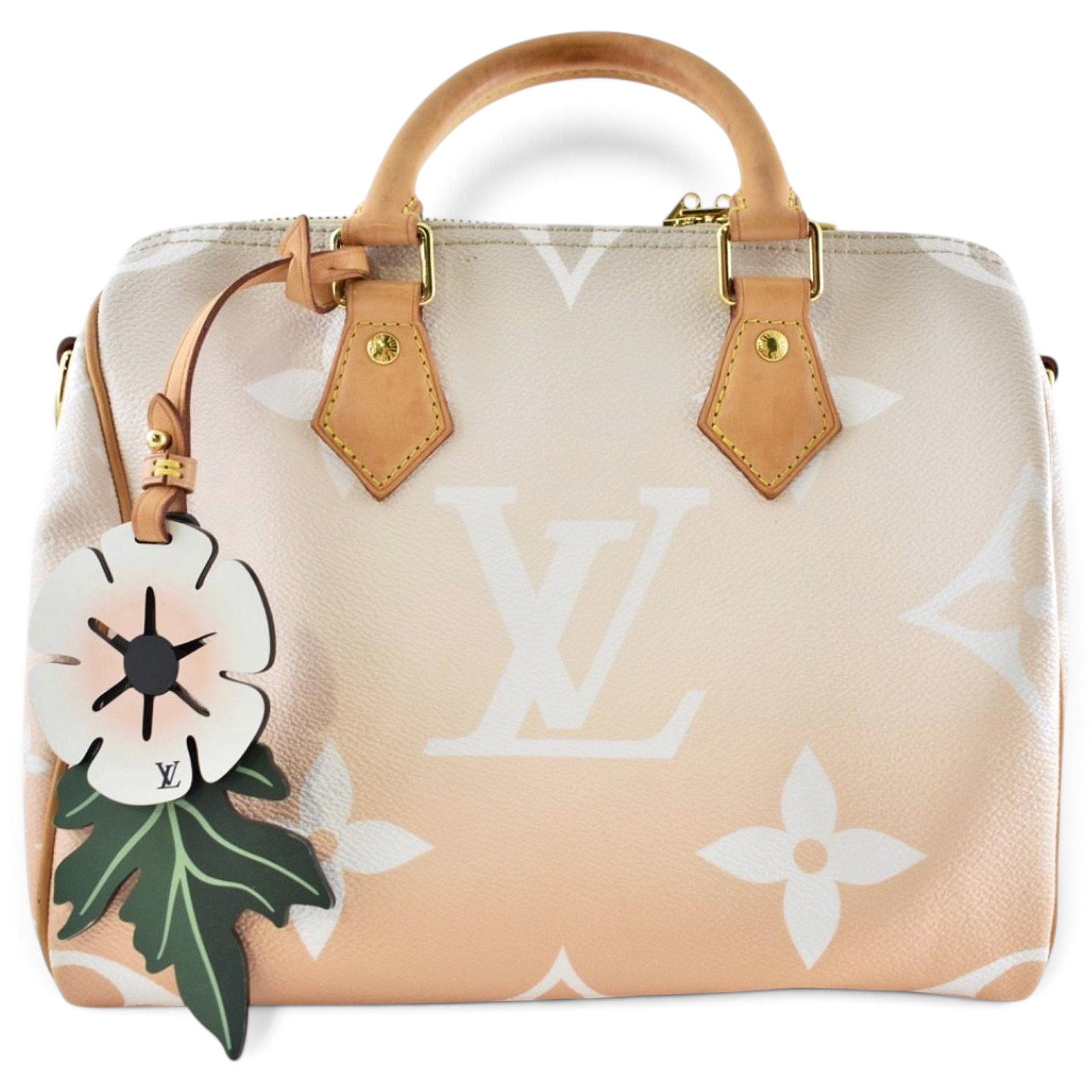 Speedy Bandoulière leather handbag