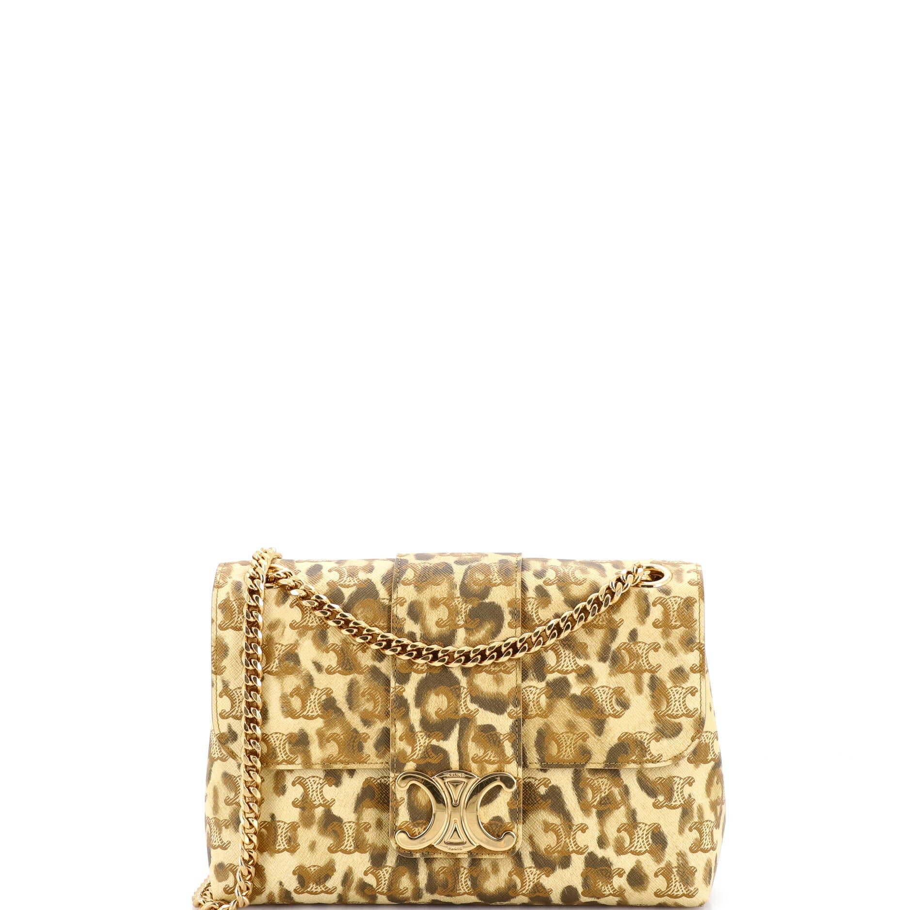 Celine Victoire Flap Shoulder Bag Printed Triomphe Coated Canvas Medium