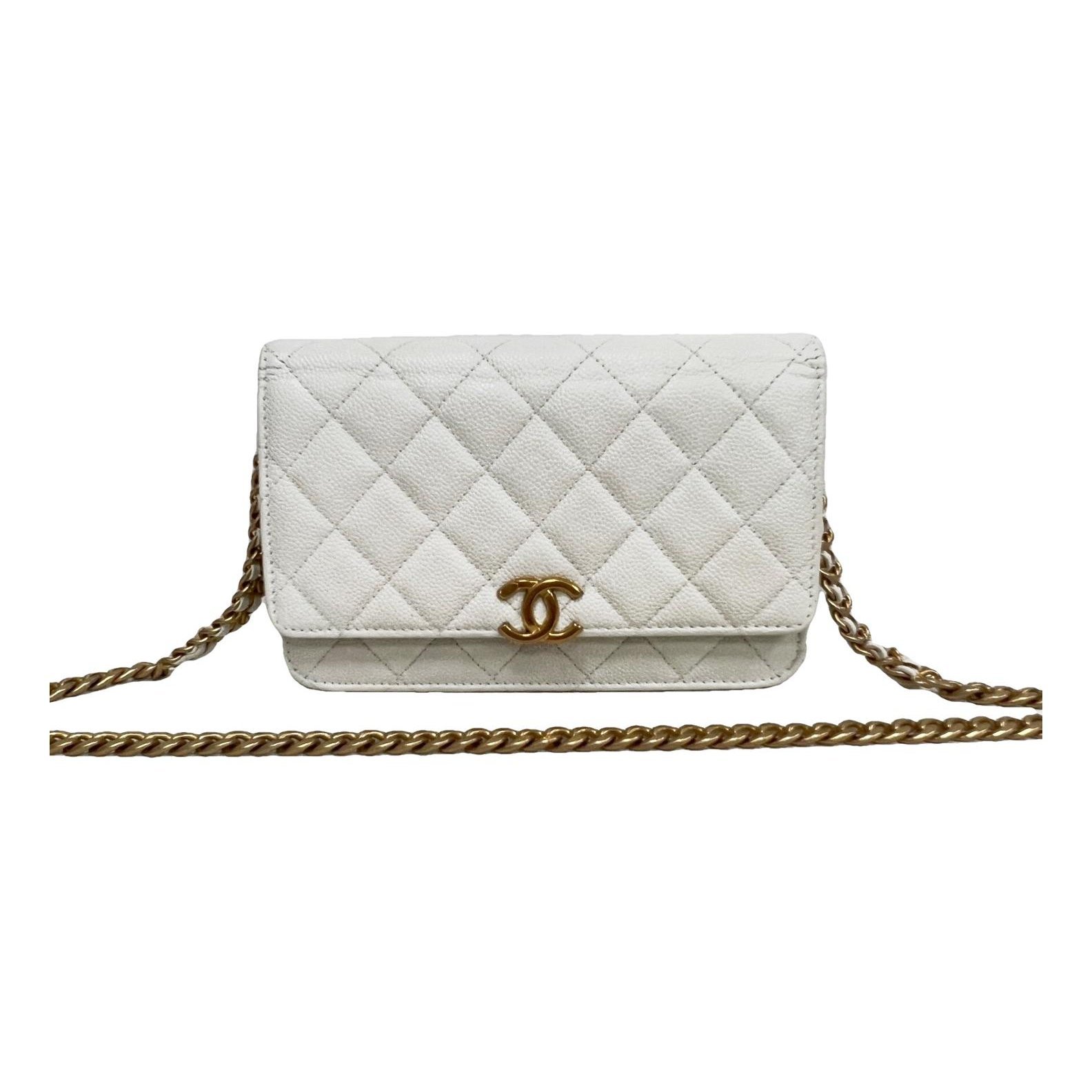 Trendy CC Wallet on Chain pony-style calfskin handbag
