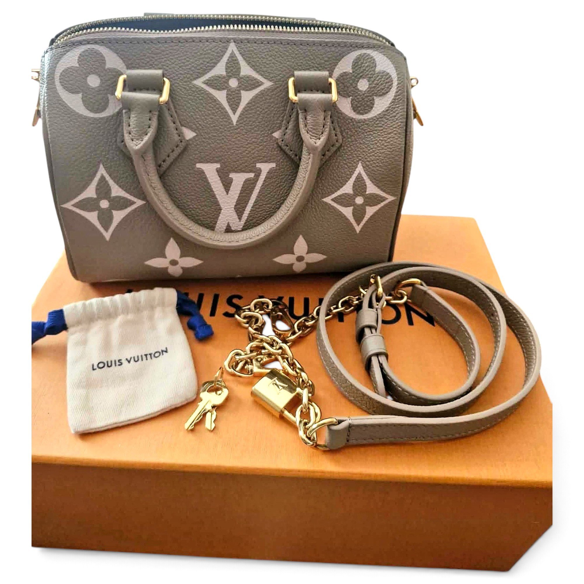 Louis Vuitton Speedy leather handbag