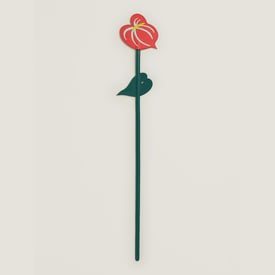 Leather anthurium flower