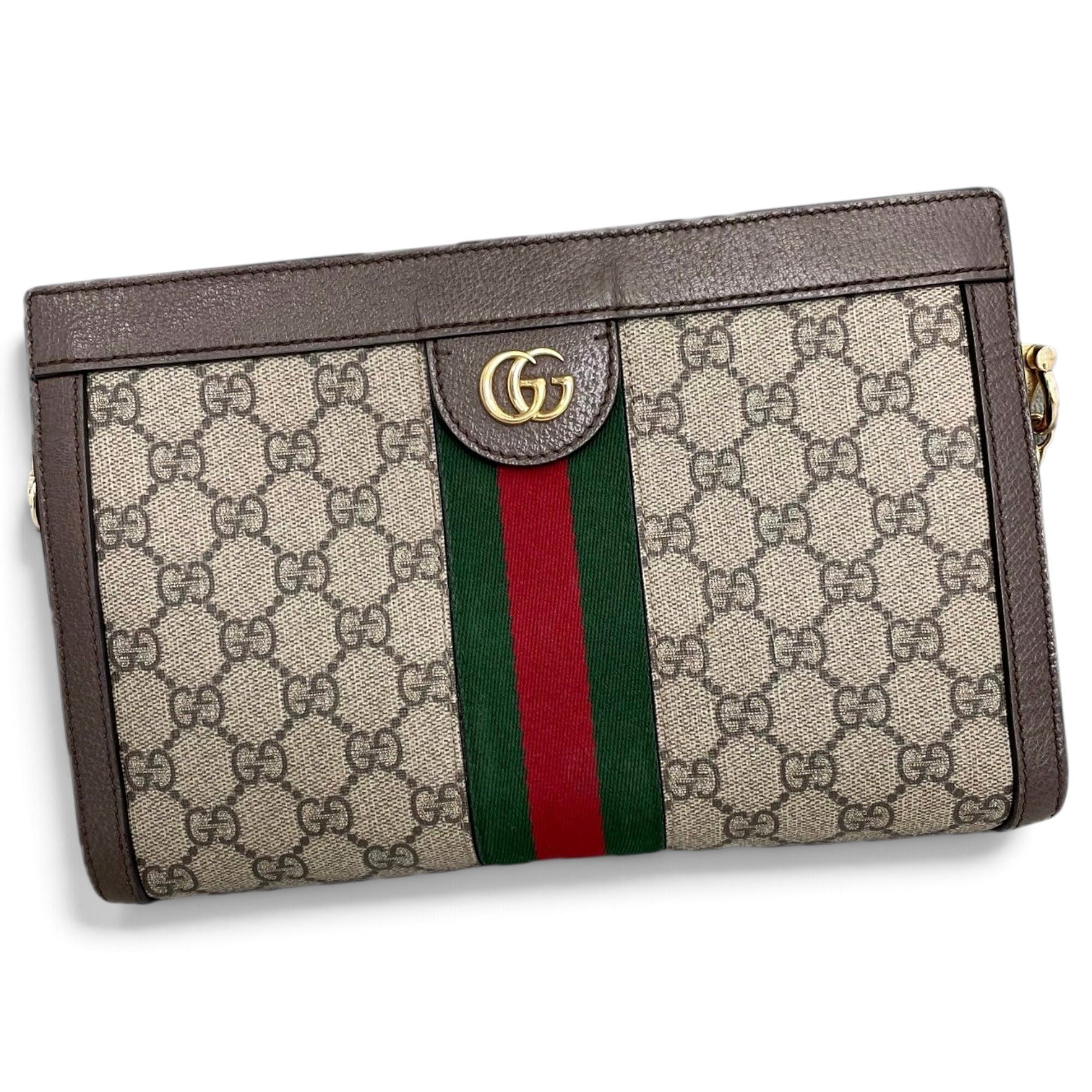 Ophidia Chain leather handbag