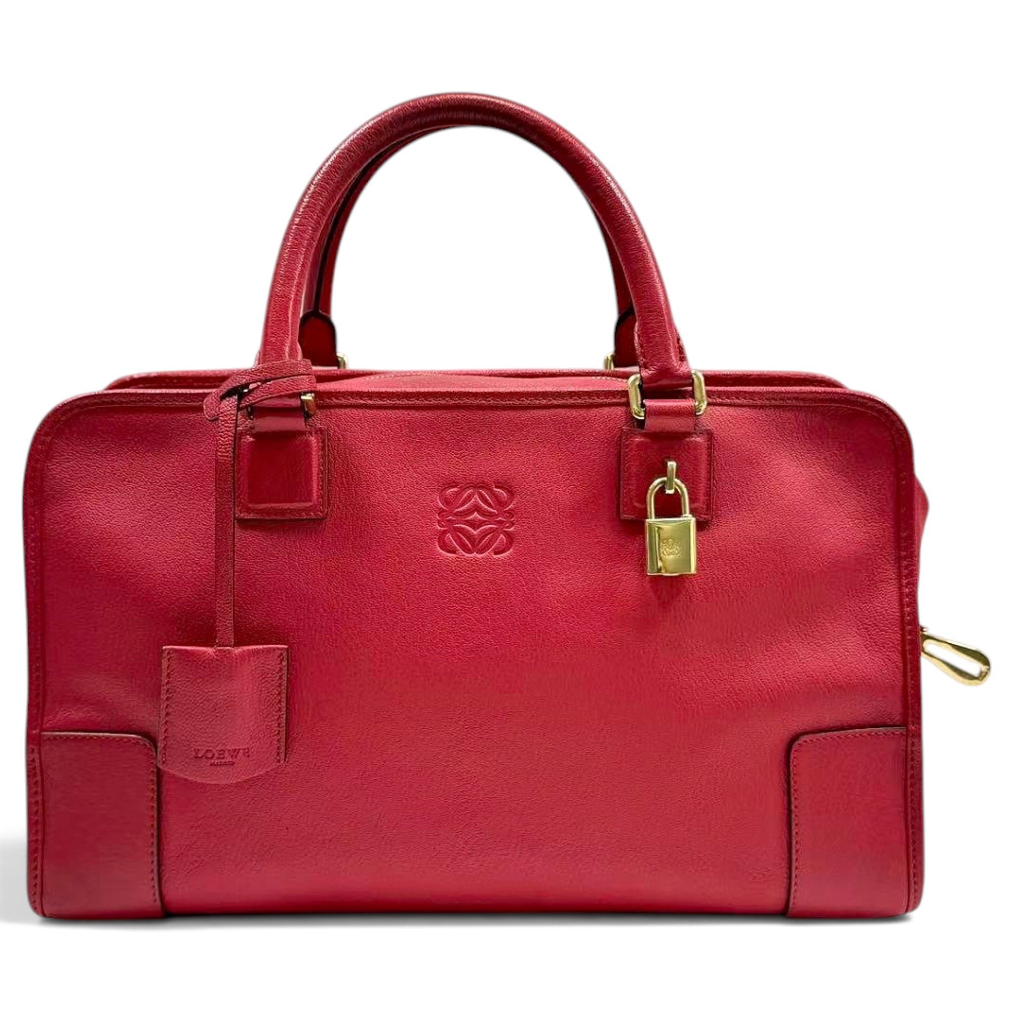 Amazona leather handbag