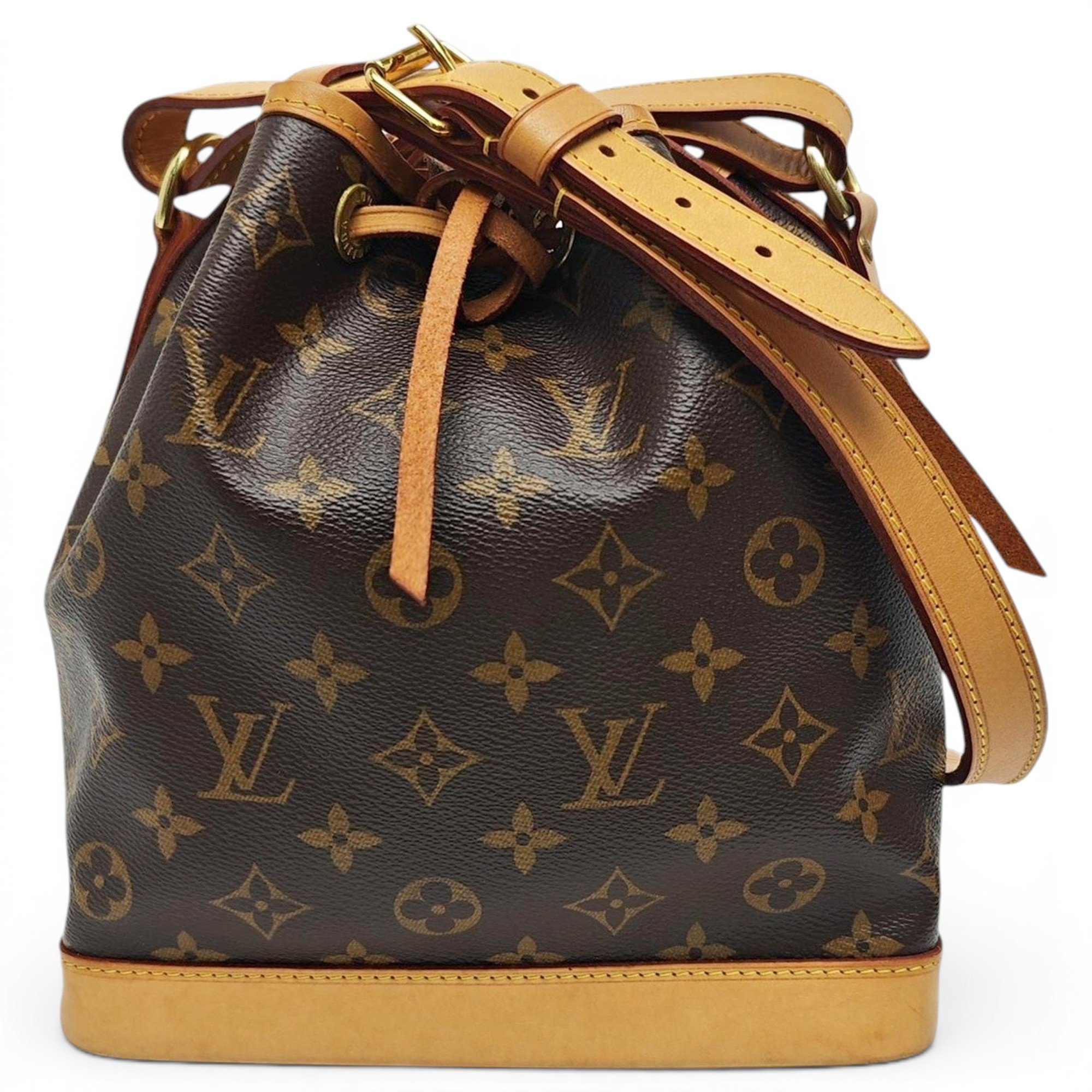 Nano Noé leather handbag
