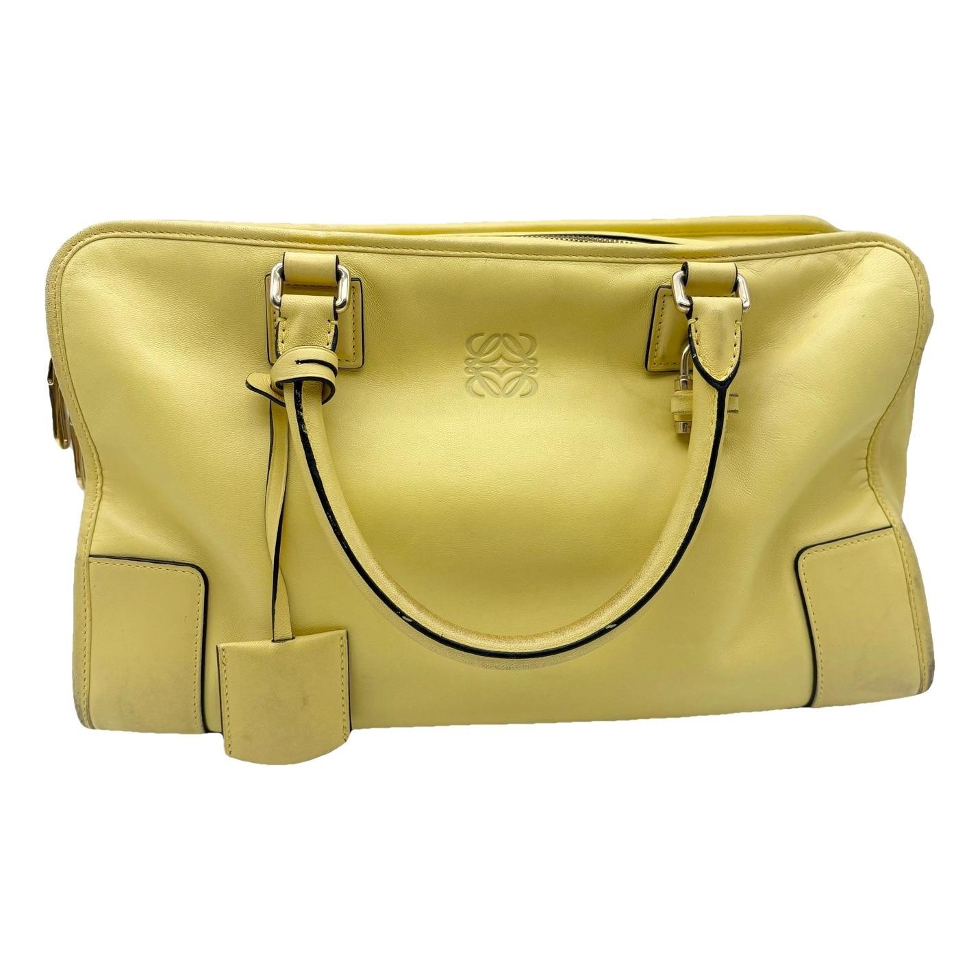 Amazona leather handbag