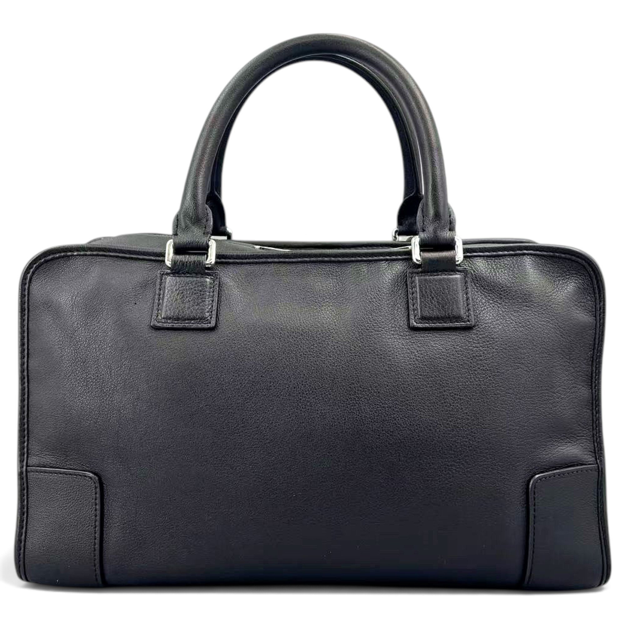 Amazona leather handbag