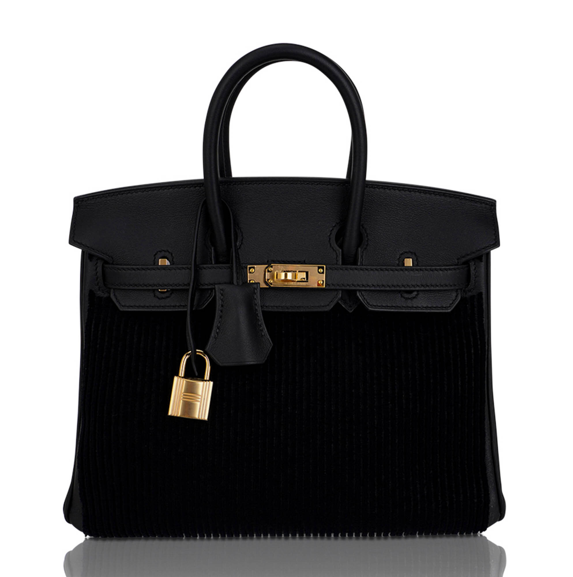 Hermes Limited Edition Birkin 25 Cote a Cote Tuffetage Bag Permabrass Hardware