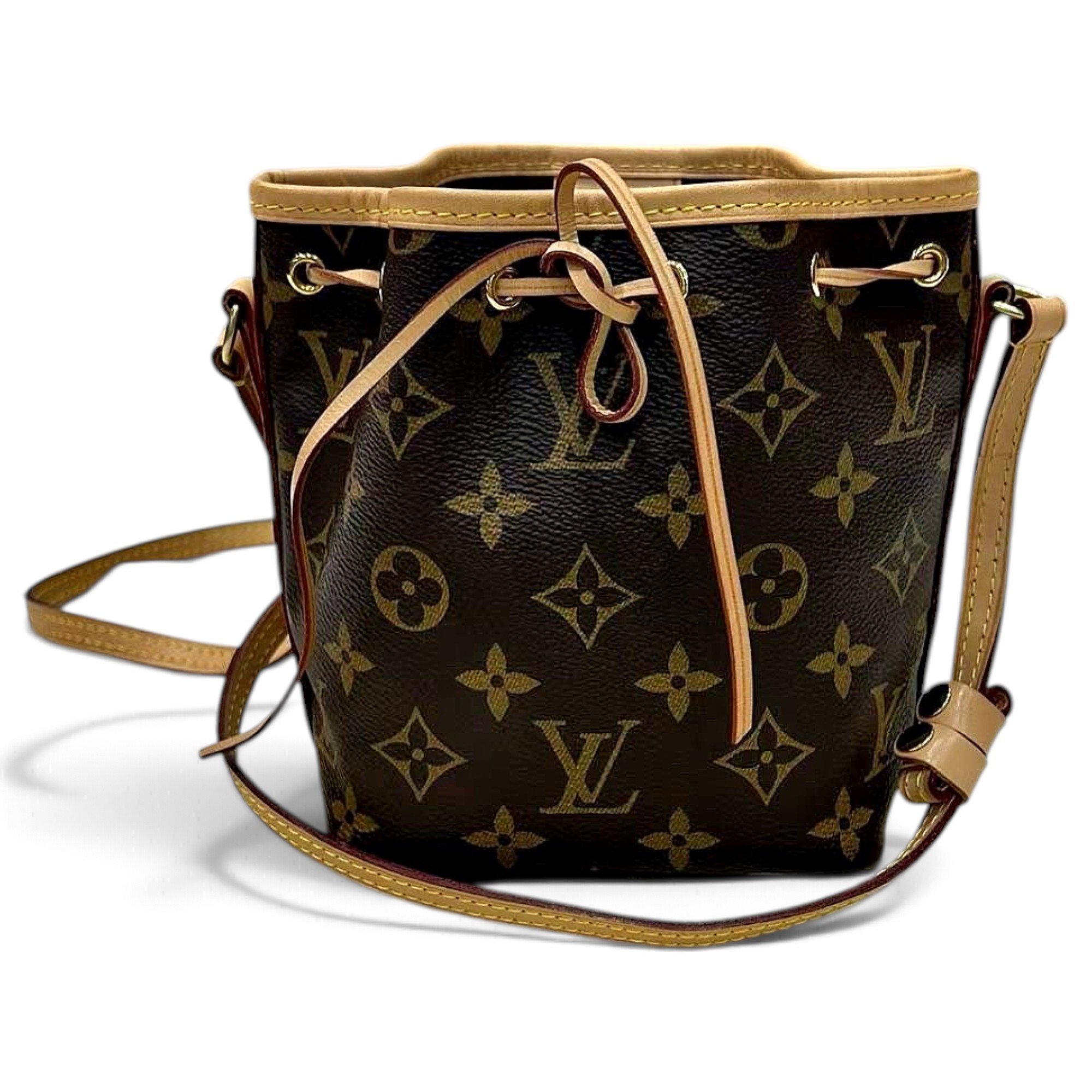 Nano Noé leather bag