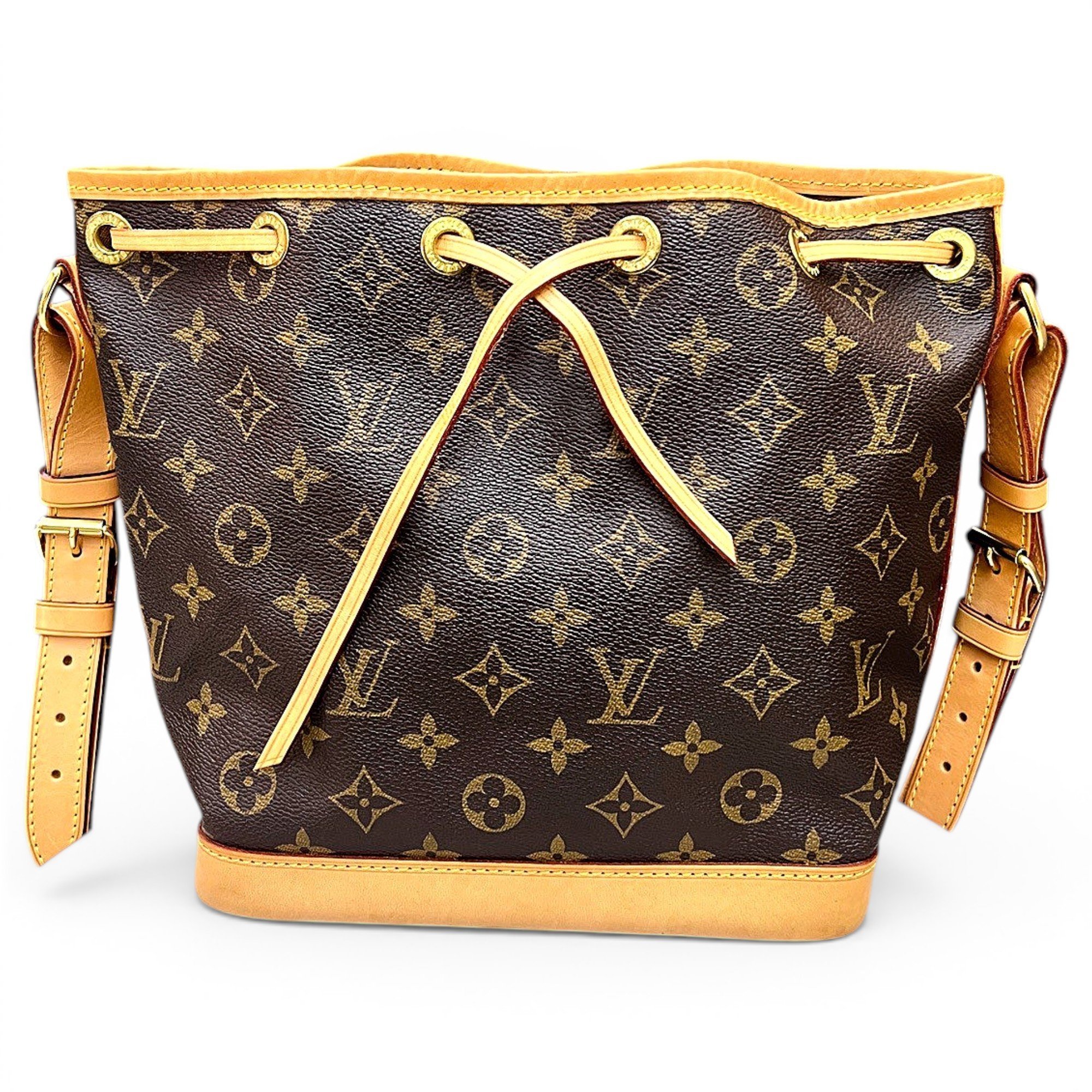 Nano Noé leather handbag