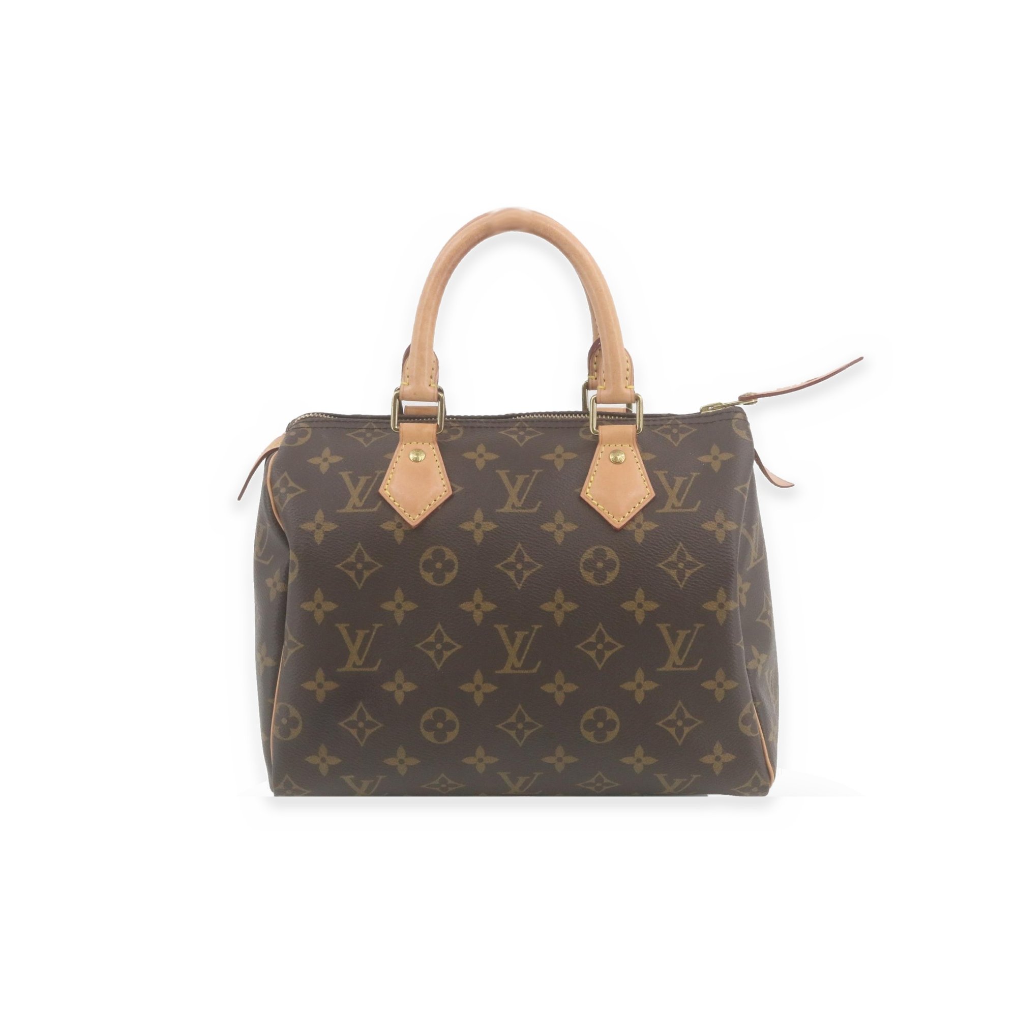 Louis Vuitton Speedy cloth handbag